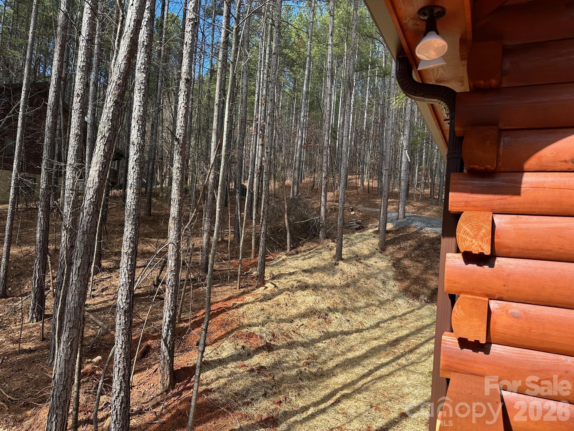 132 Chasewood Drive — Rutherfordton