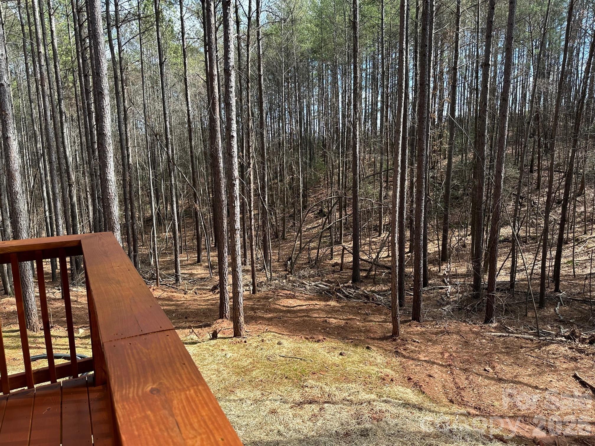 132 Chasewood Drive — Rutherfordton