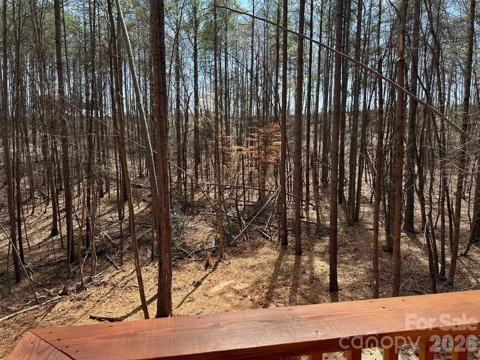 132 Chasewood Drive — Rutherfordton