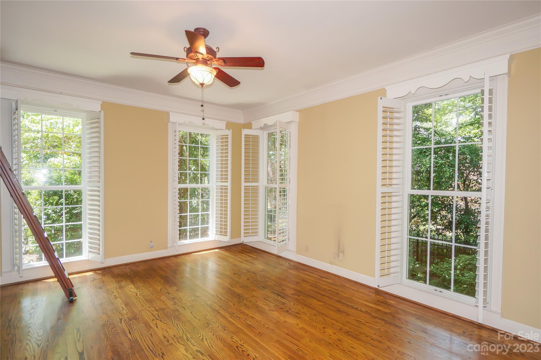 620 N 9th Street #5/6 — Albemarle