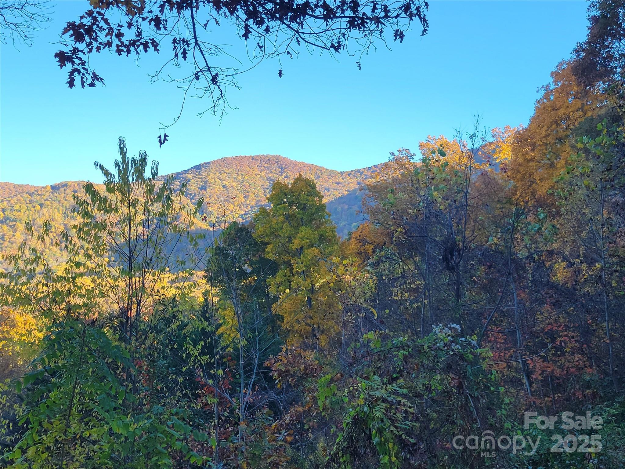 144 Ruffed Grouse Lane — Waynesville