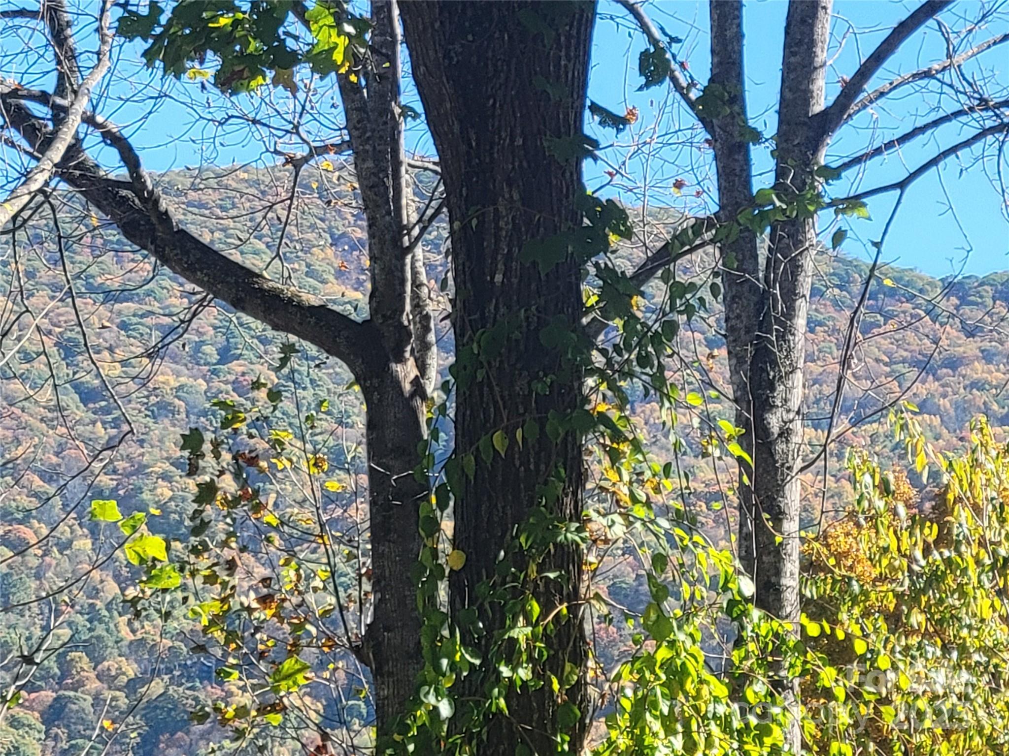 144 Ruffed Grouse Lane — Waynesville