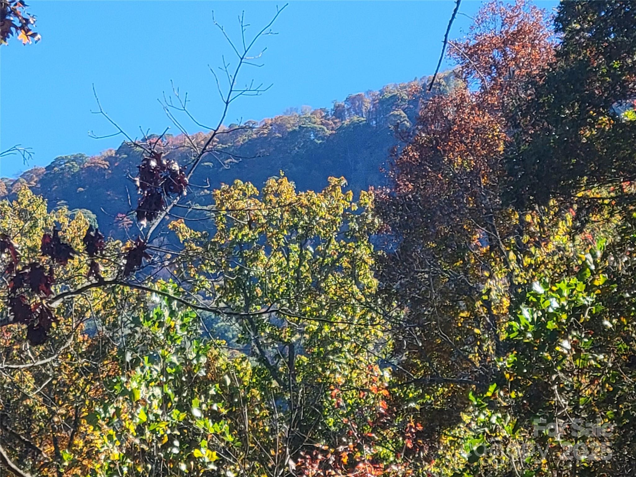 144 Ruffed Grouse Lane — Waynesville