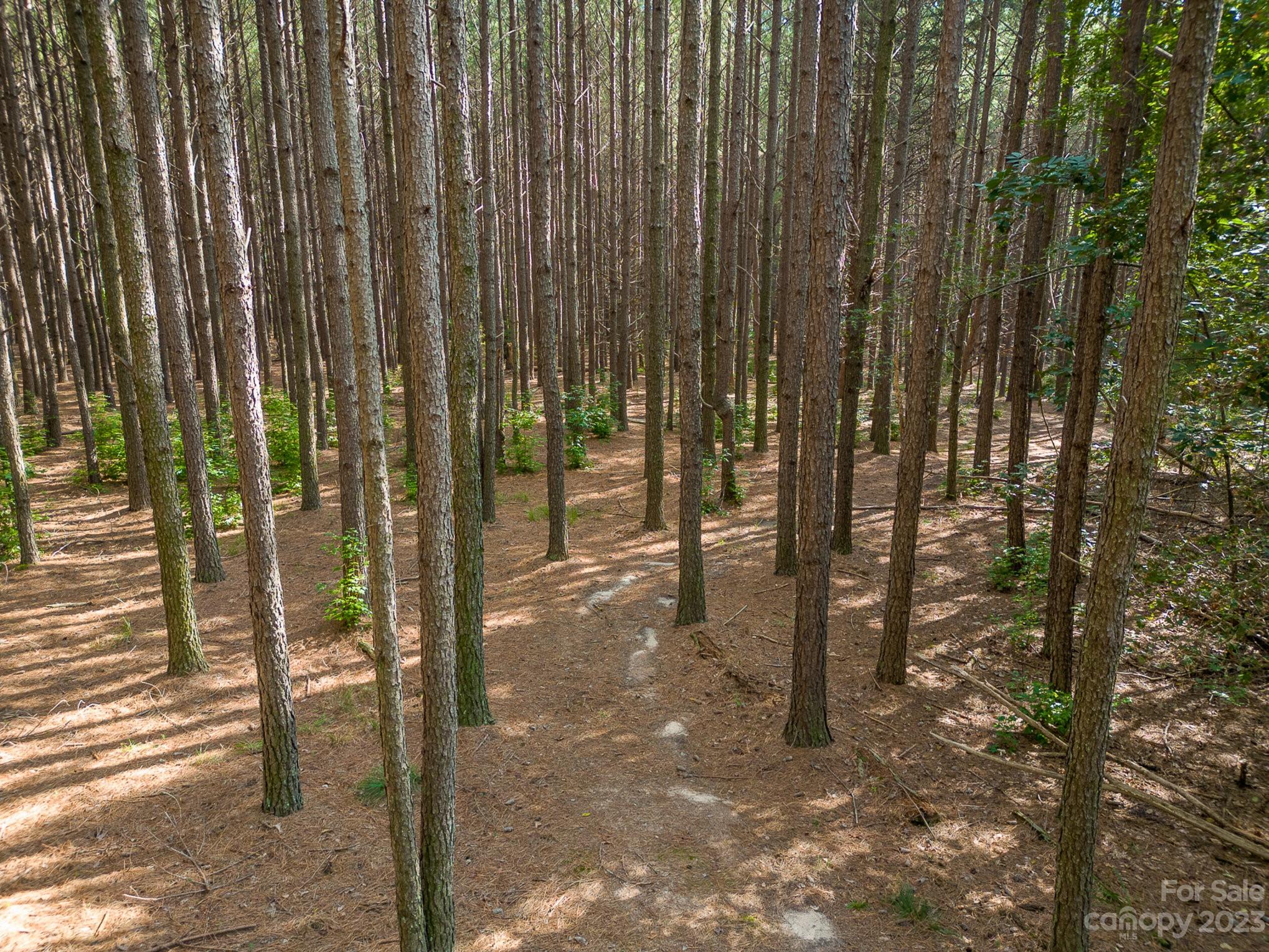 2756 Peachtree Road — Statesville