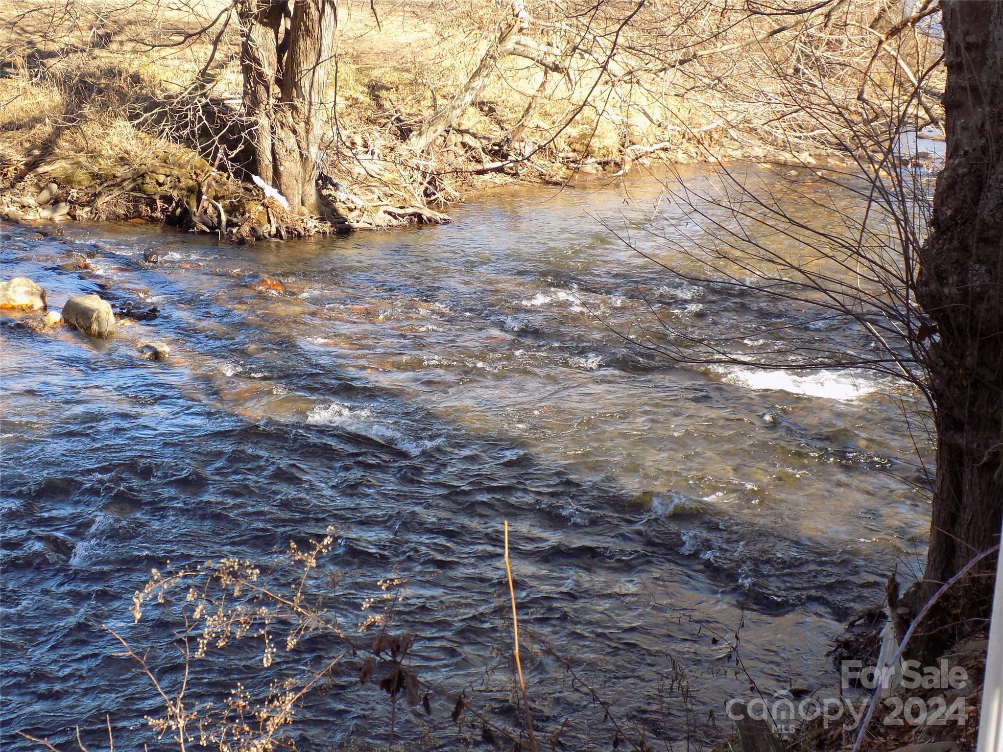 43 Pike Point — Waynesville