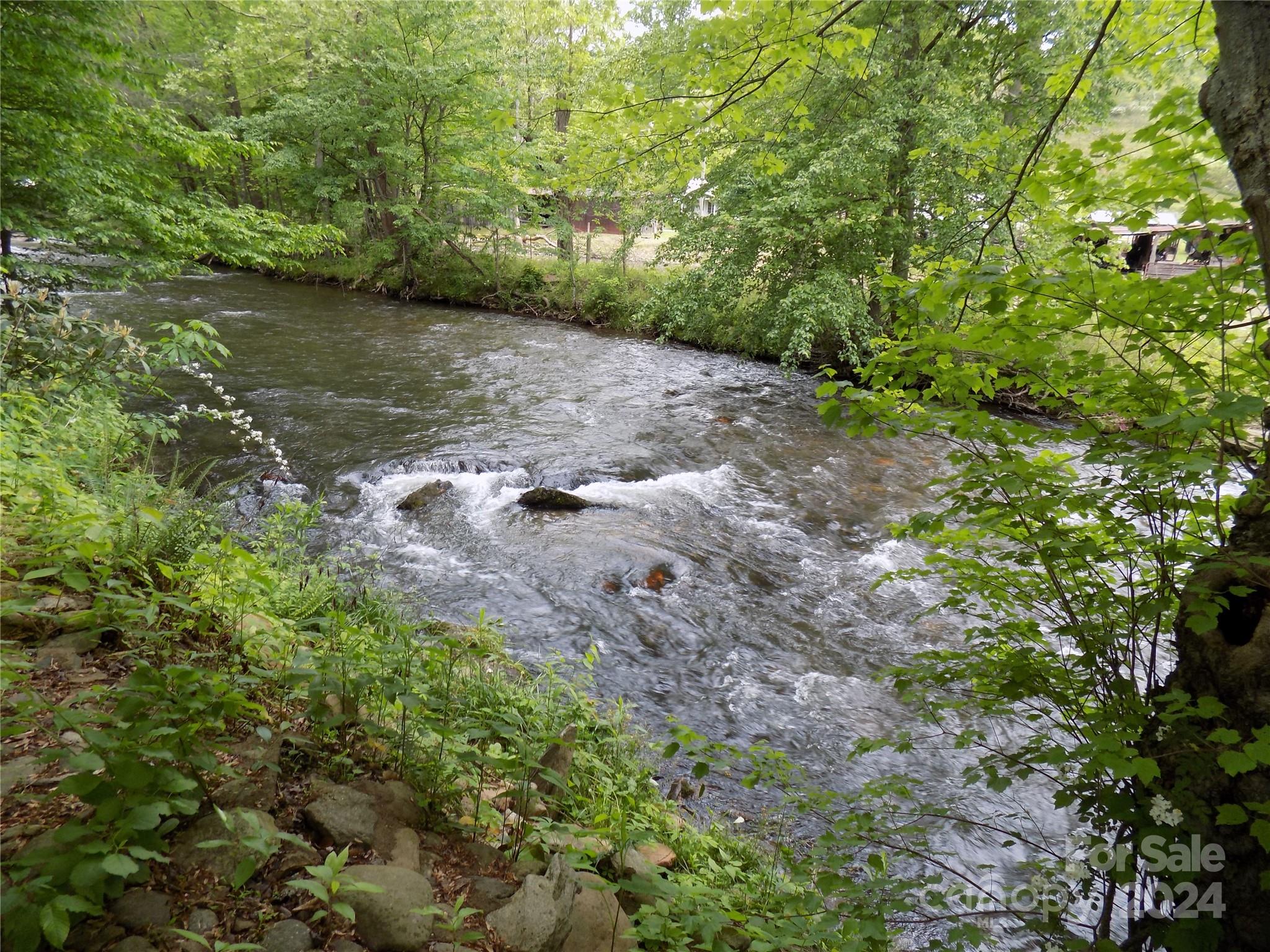 43 Pike Point — Waynesville
