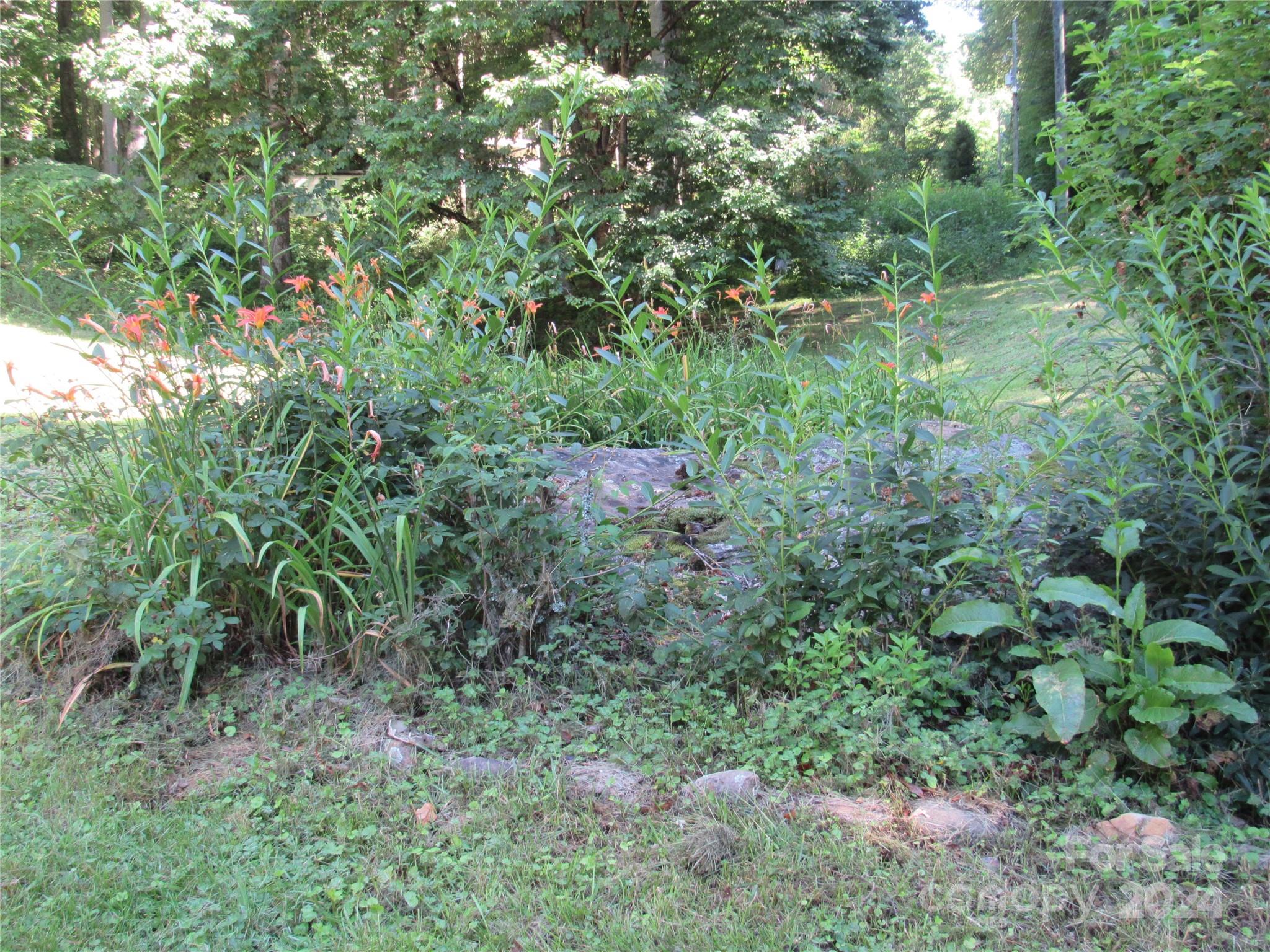 664 Woodfin Road — Sylva