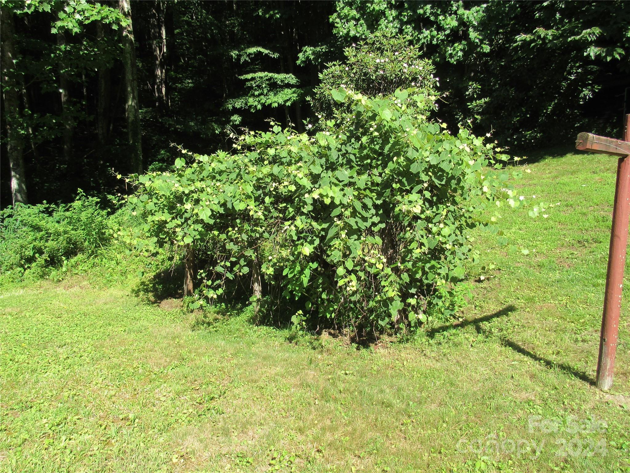 664 Woodfin Road — Sylva