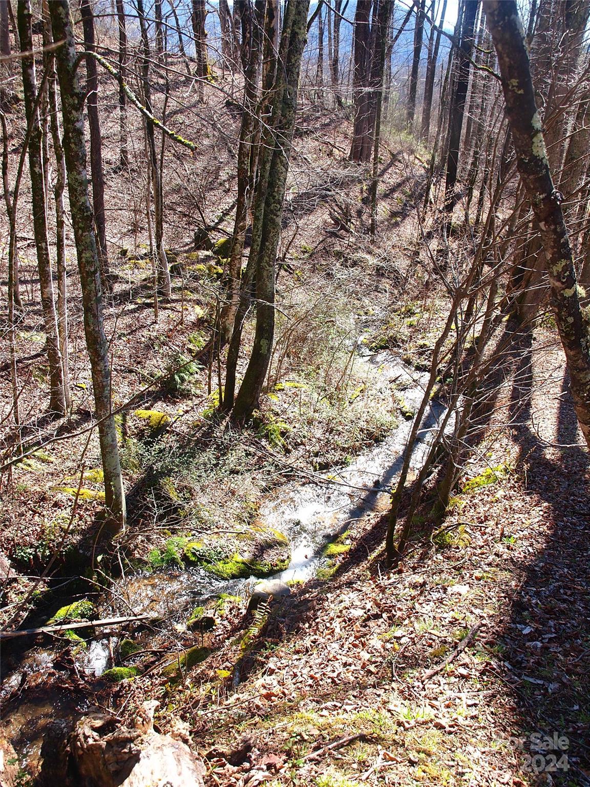 664 Woodfin Road — Sylva