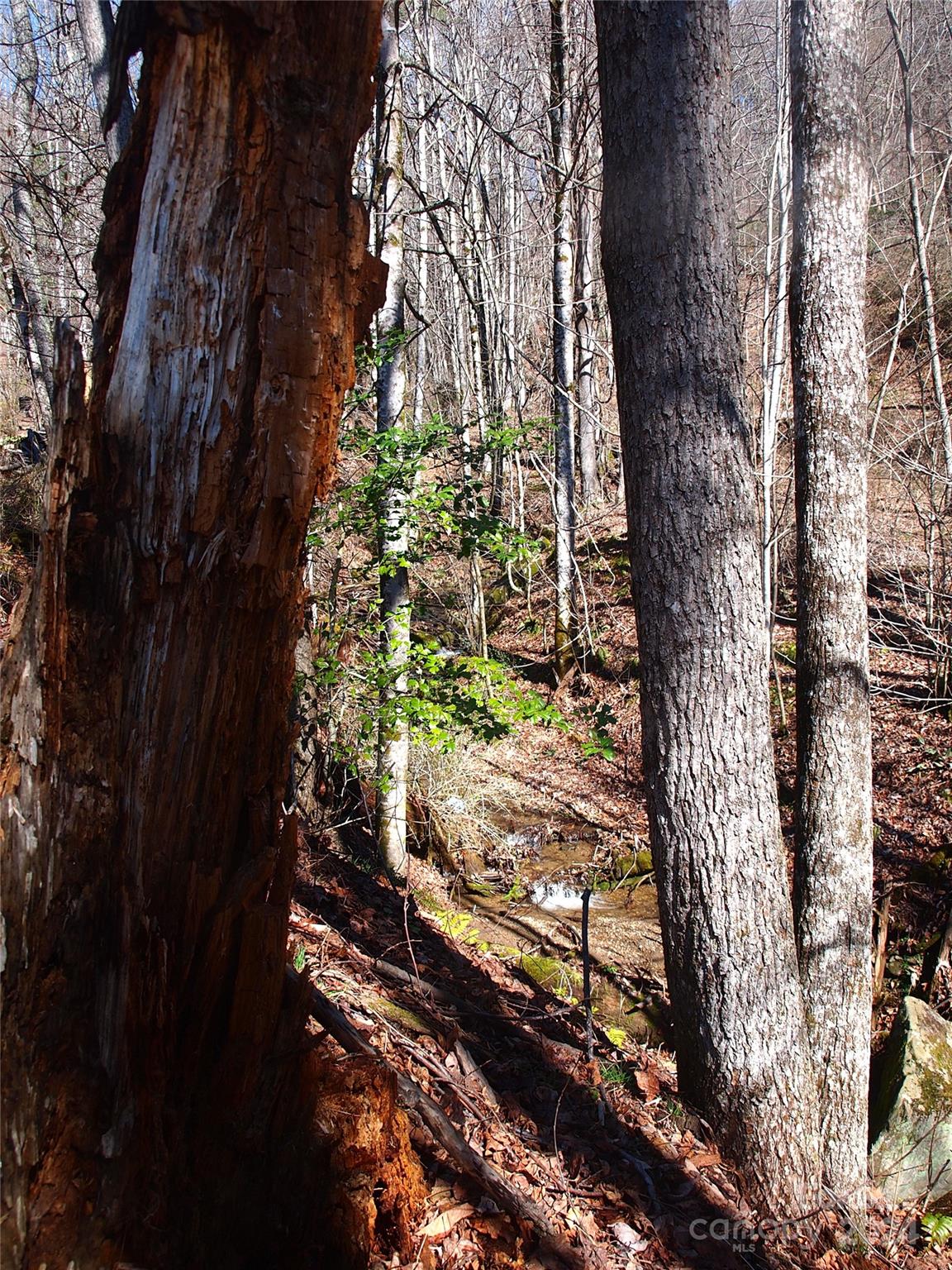 664 Woodfin Road — Sylva