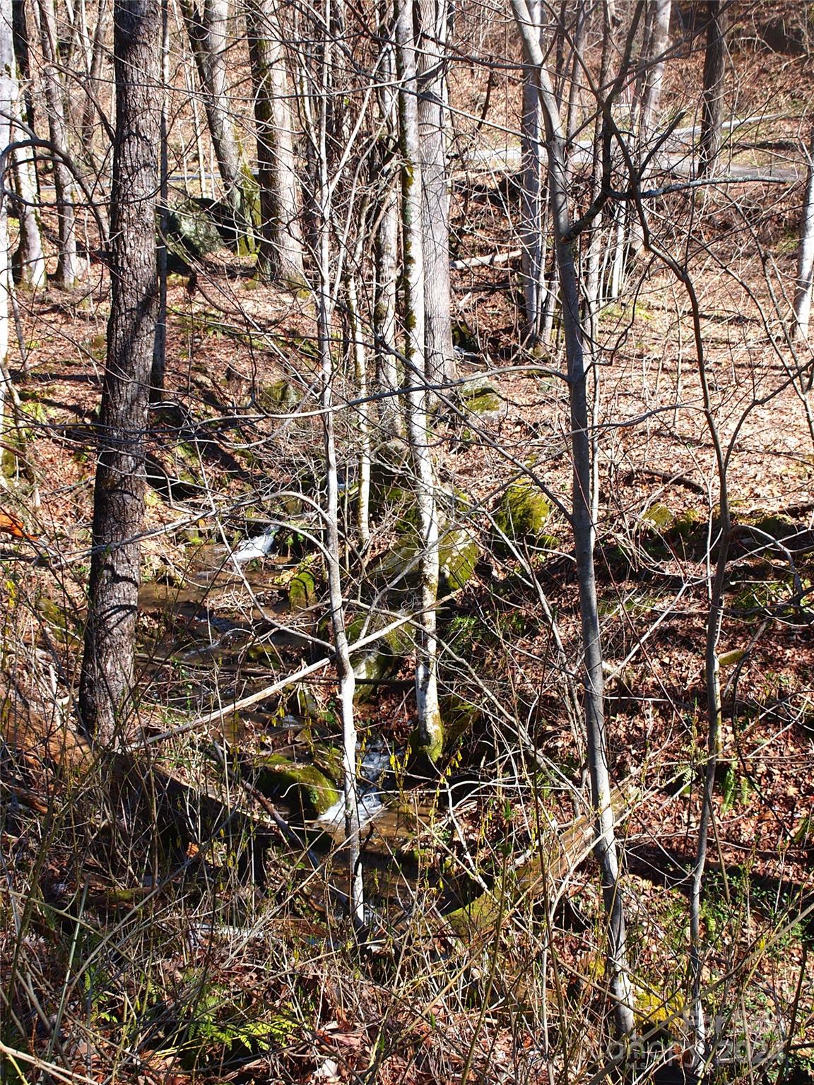 664 Woodfin Road — Sylva