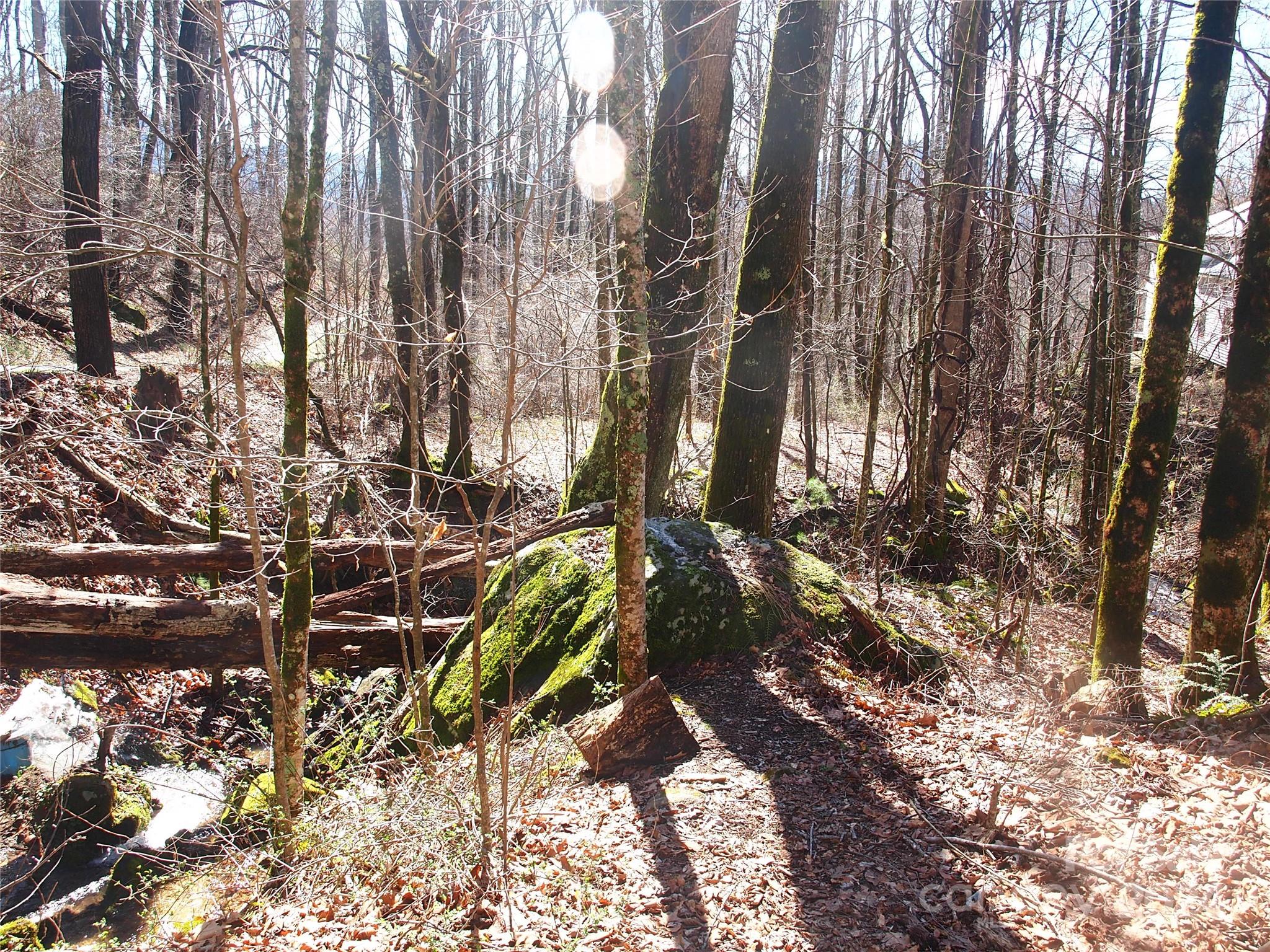 664 Woodfin Road — Sylva