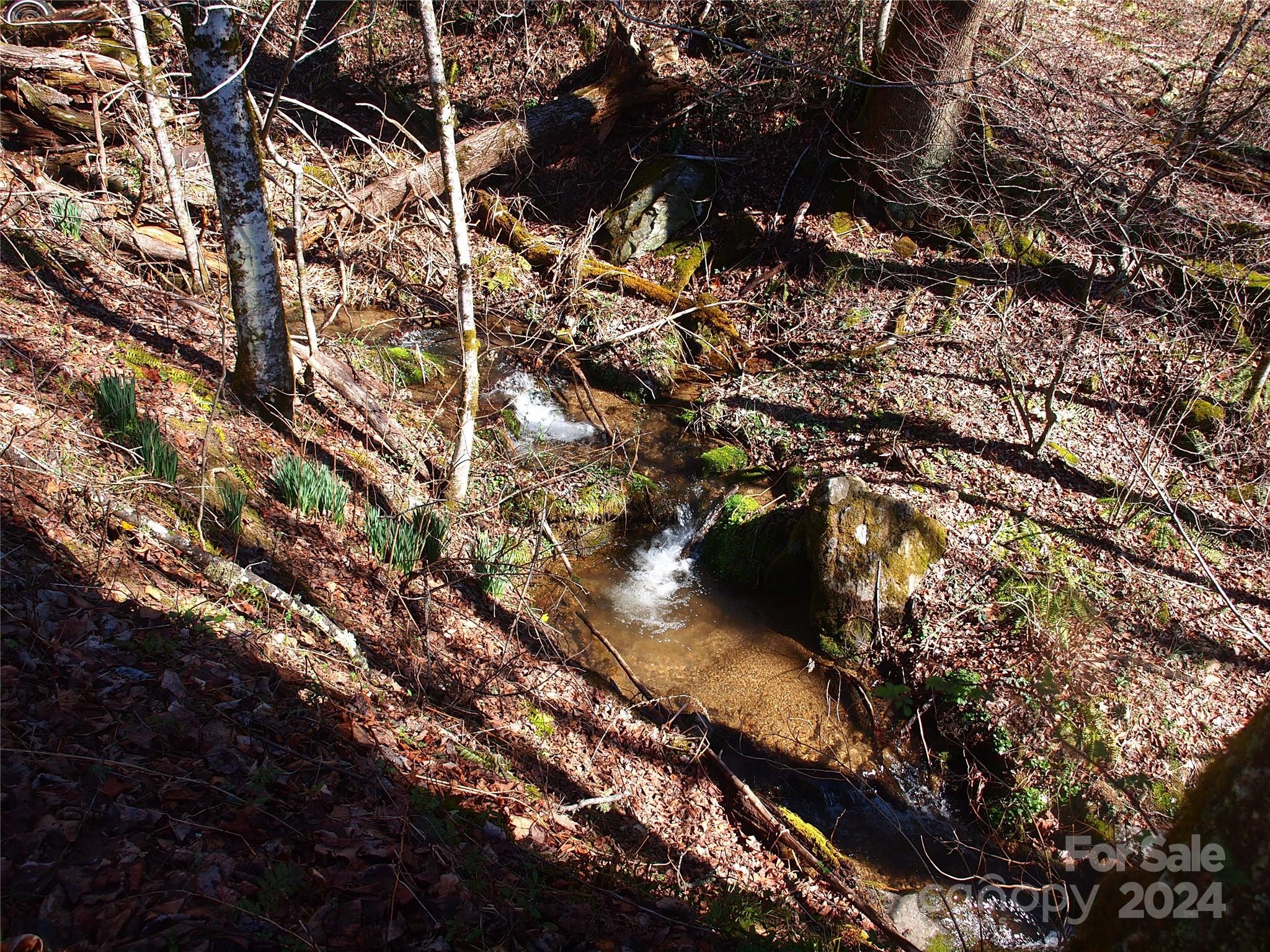 664 Woodfin Road — Sylva