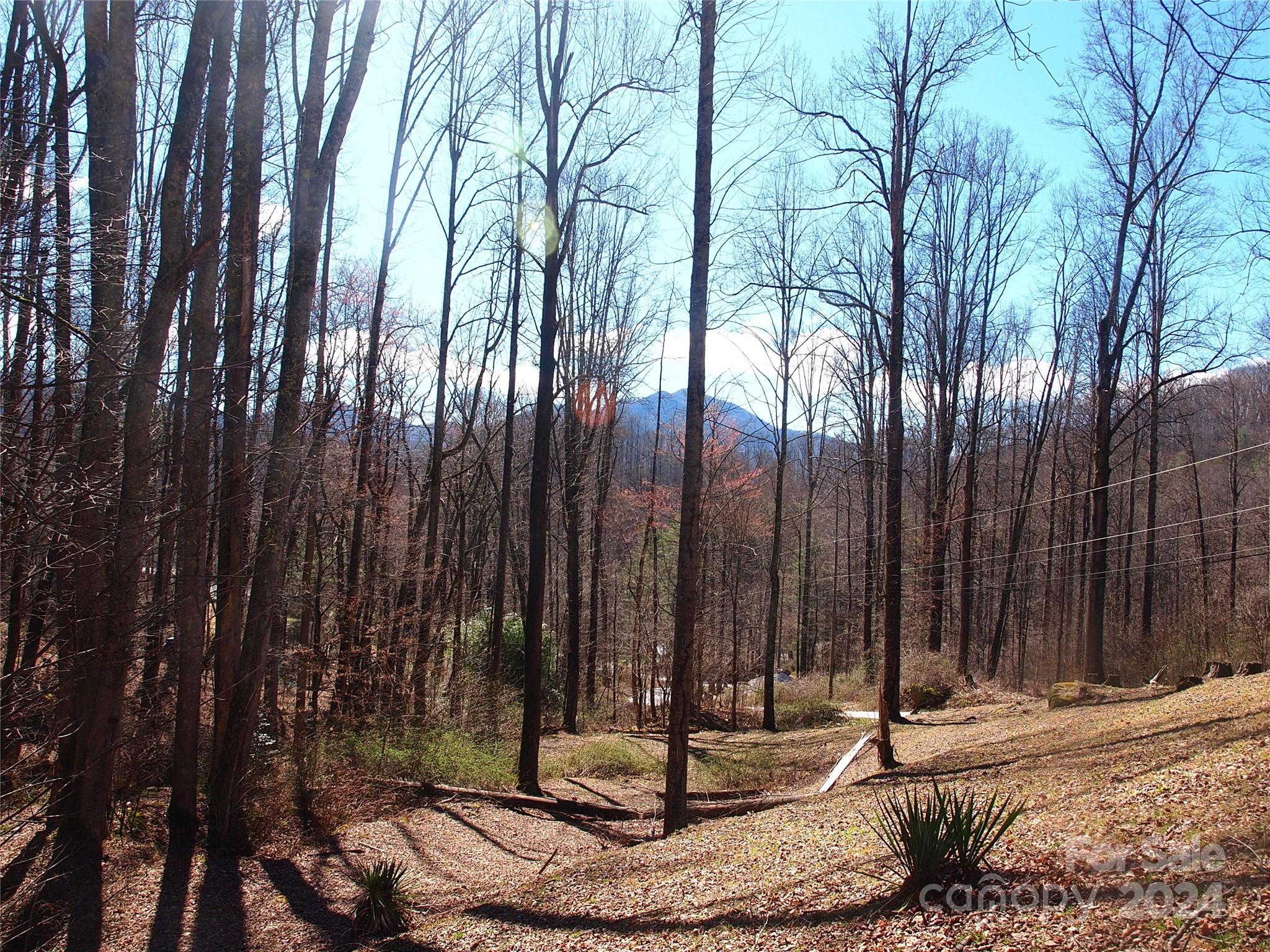 664 Woodfin Road — Sylva