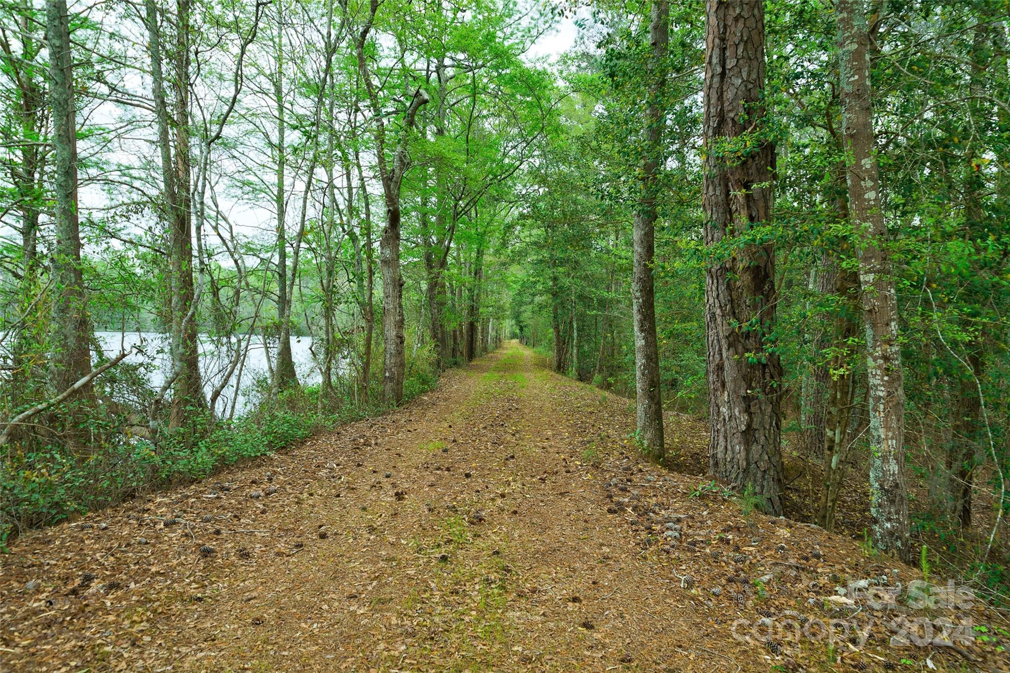 229 Joseph Kershaw Road — Eastover
