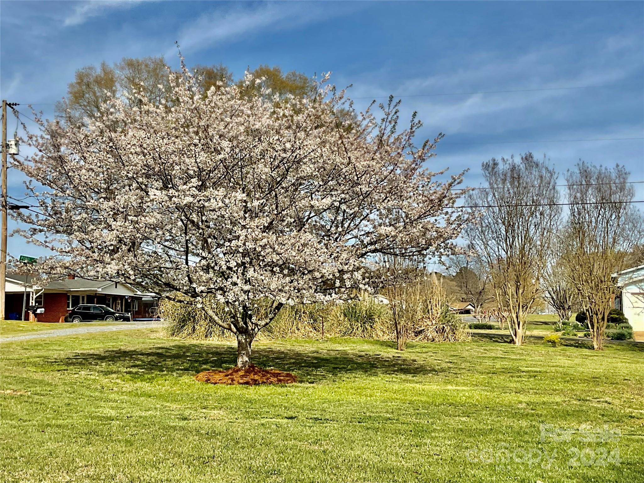 1960 Monza Drive — Albemarle