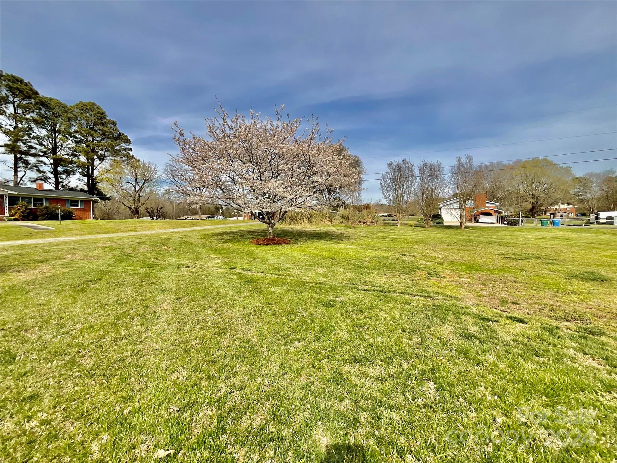 1960 Monza Drive — Albemarle