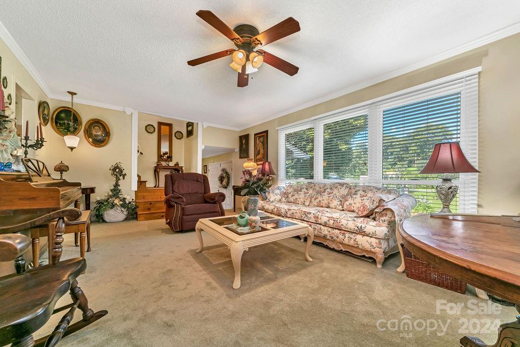 63 Evergreen Cove — Pisgah Forest