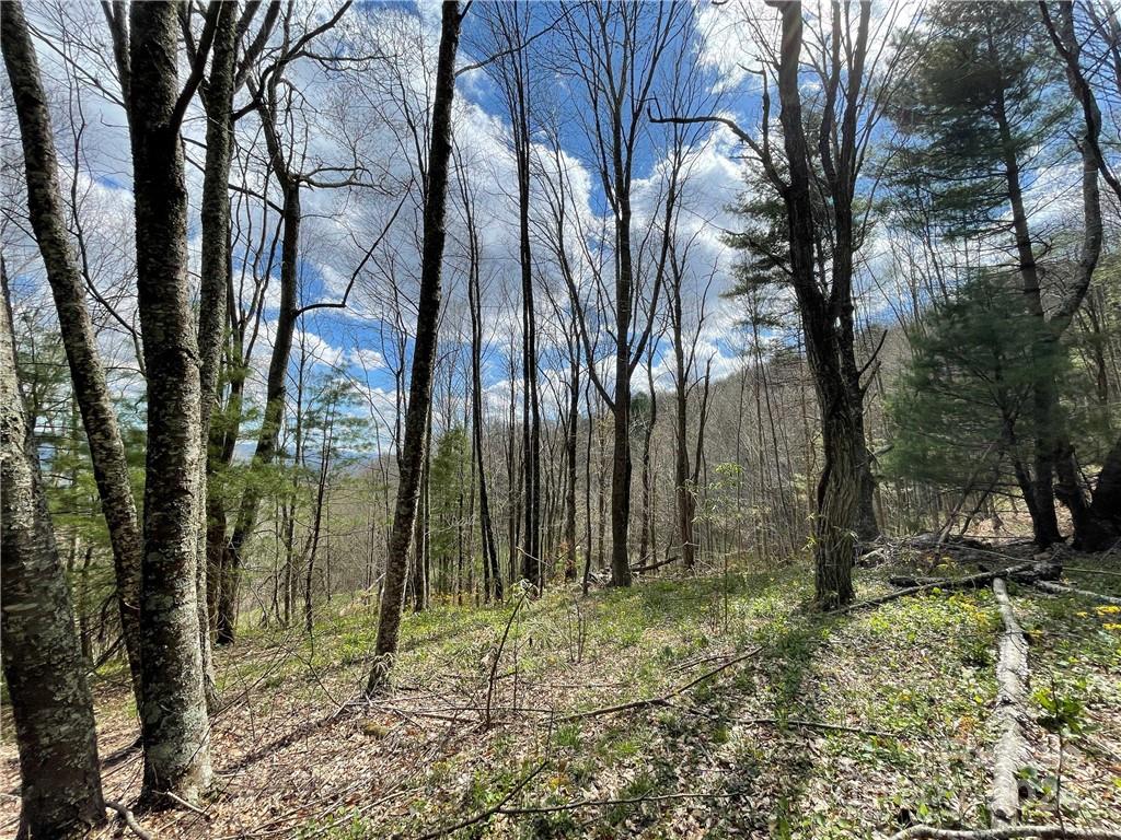 1375 Swing Road — Burnsville