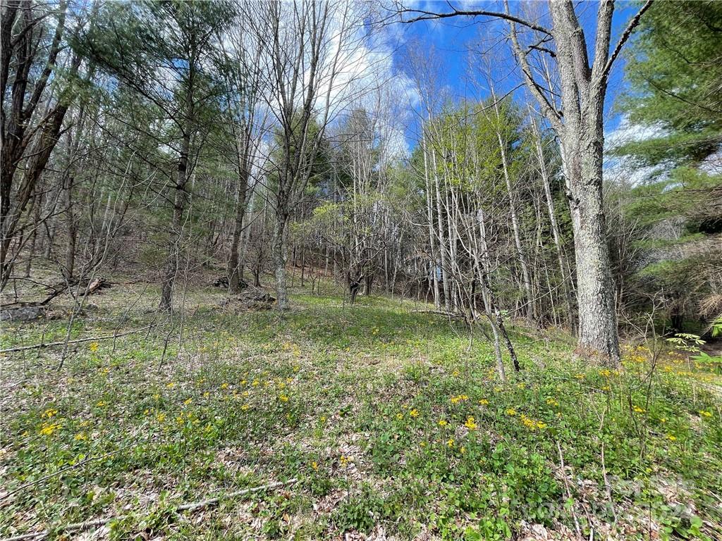 1375 Swing Road — Burnsville