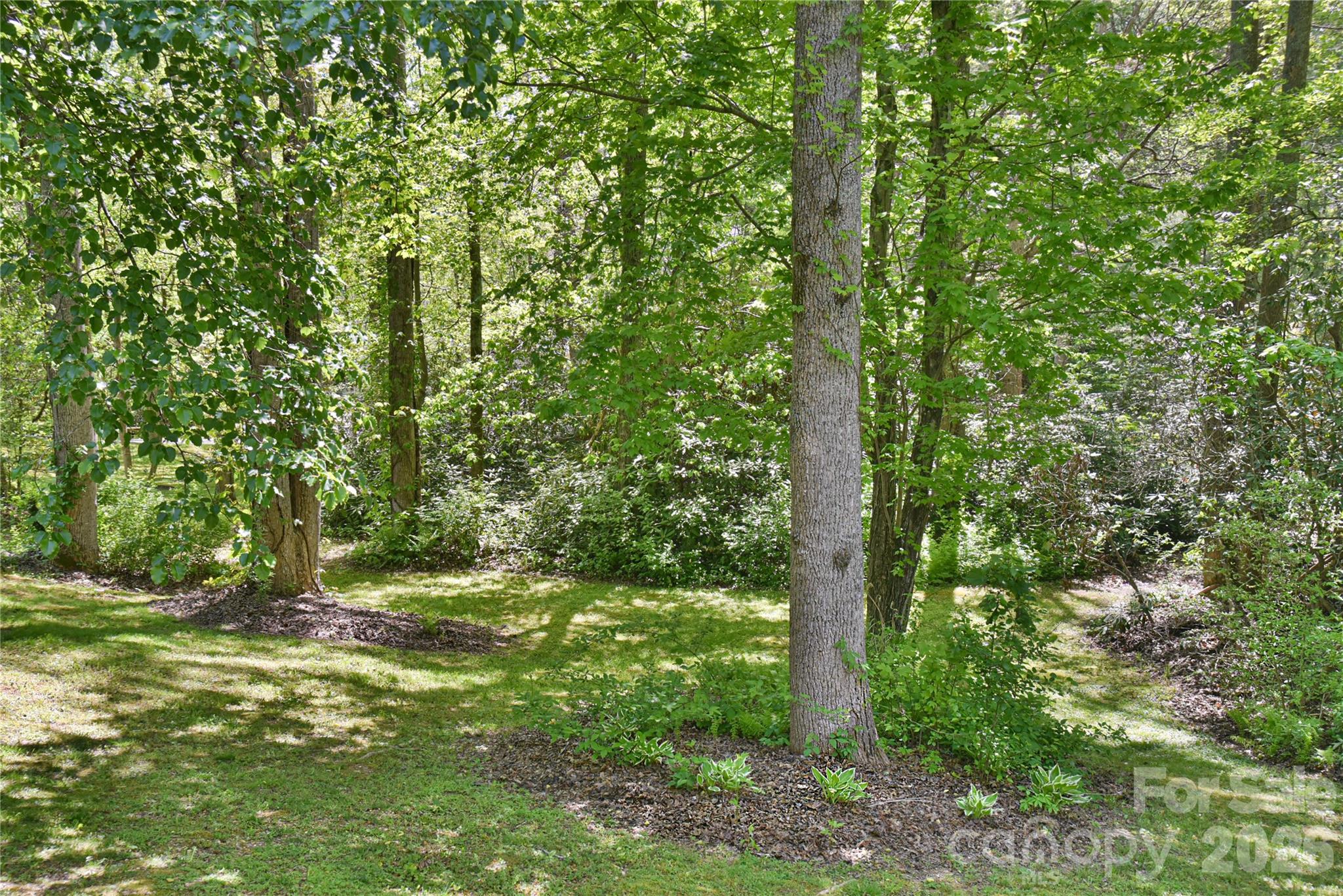 145 Fox Glen Drive — Arden