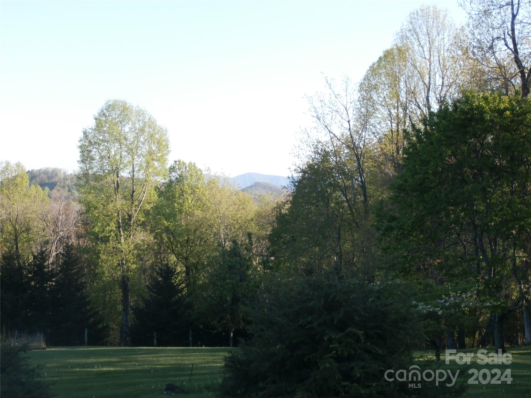 288 Firetower Road — Spruce Pine