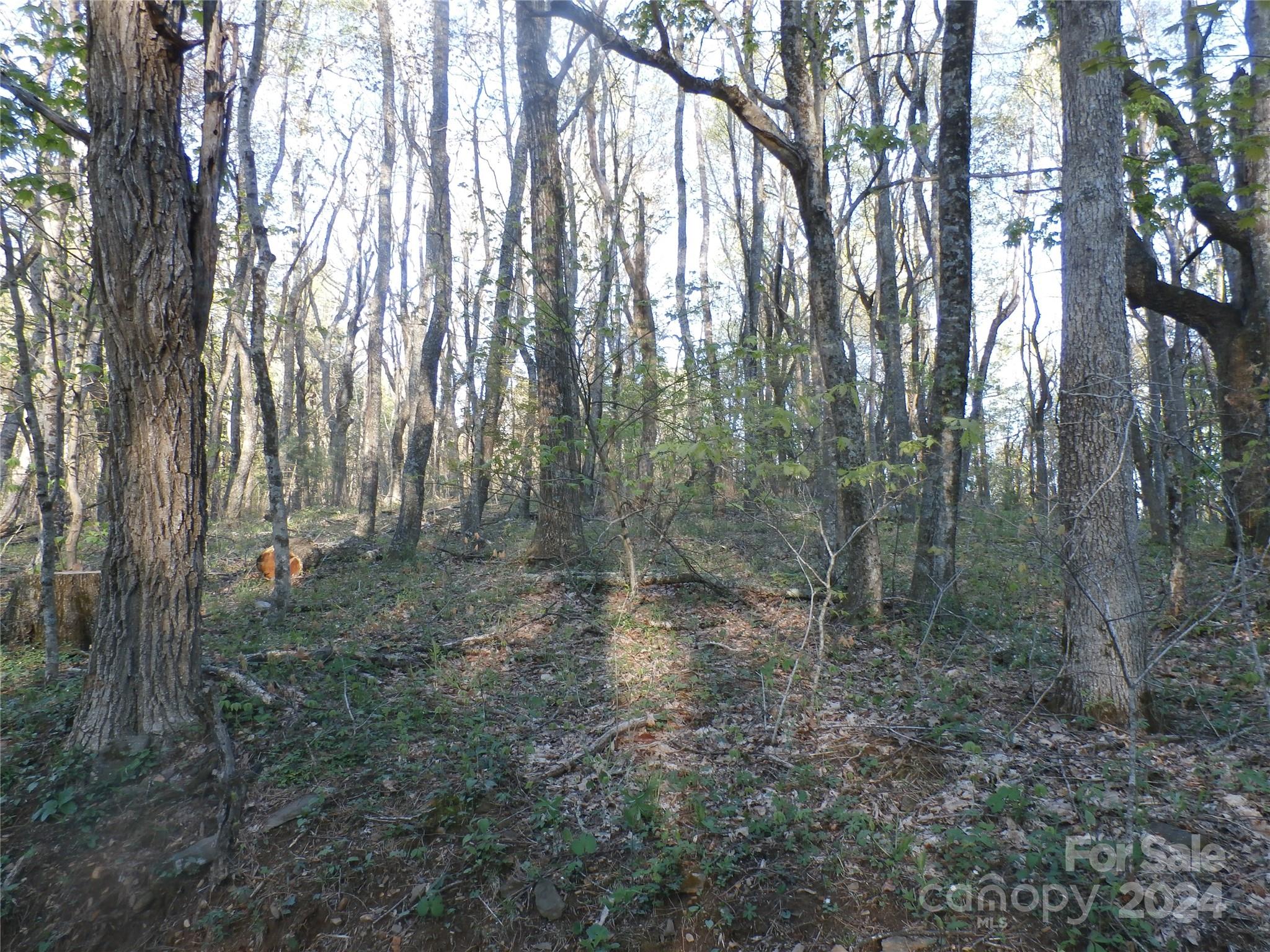288 Firetower Road — Spruce Pine
