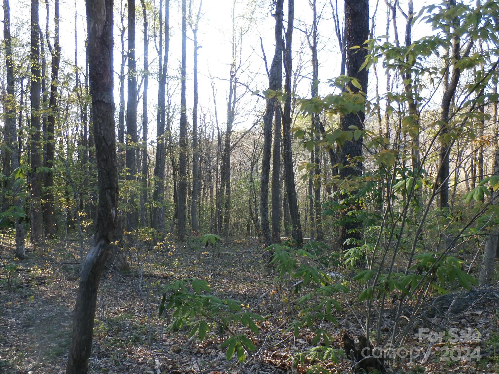 288 Firetower Road — Spruce Pine