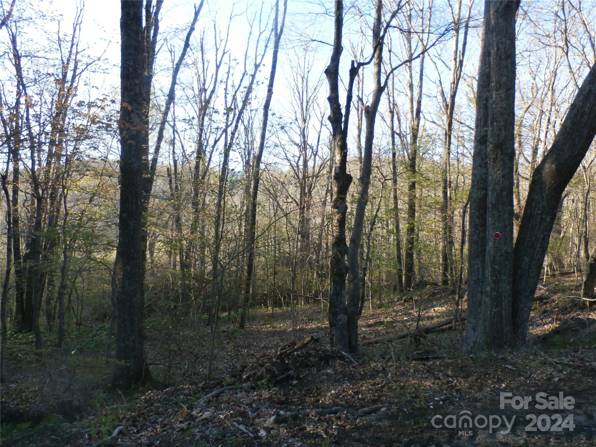 288 Firetower Road — Spruce Pine