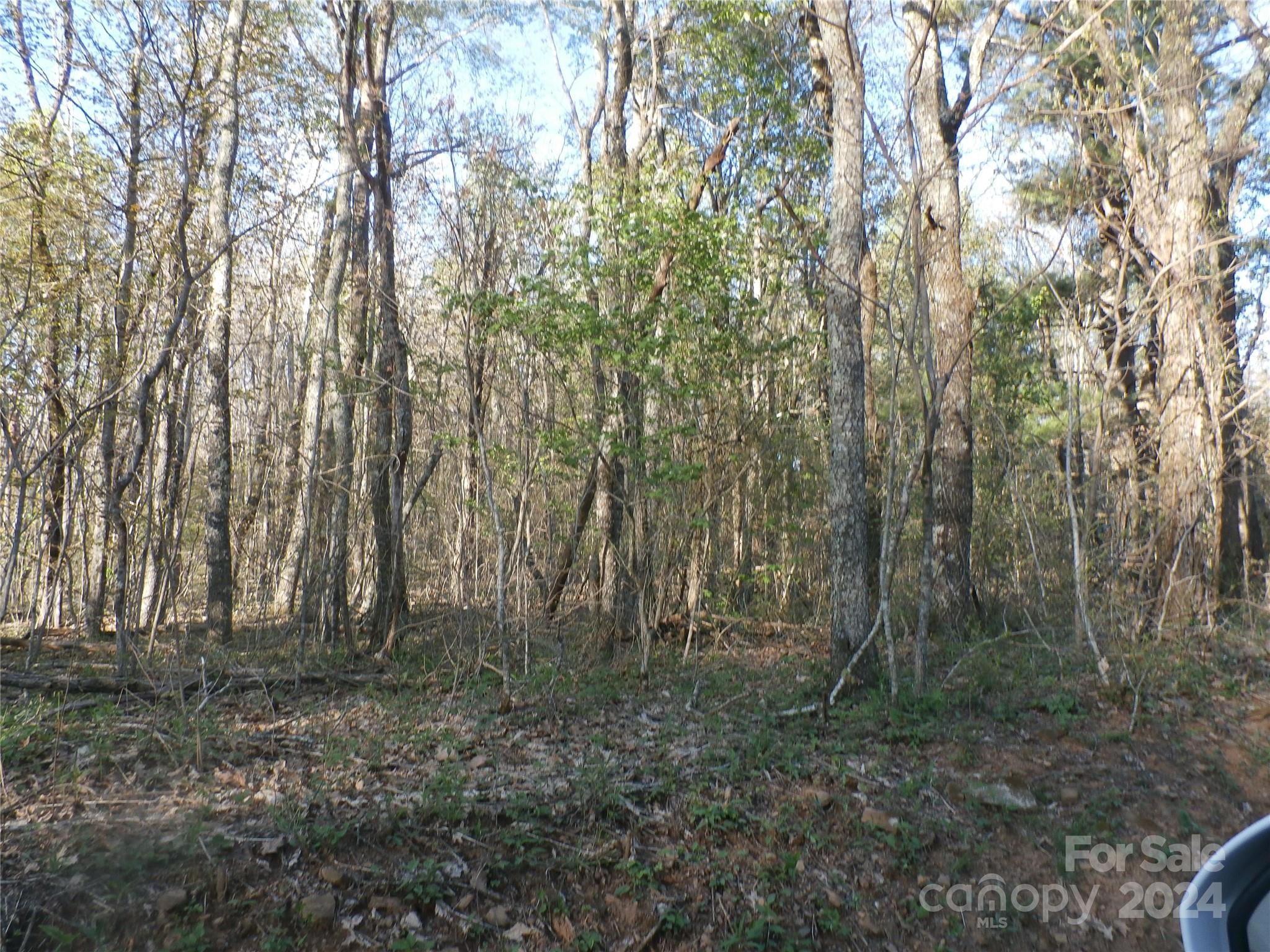 288 Firetower Road — Spruce Pine