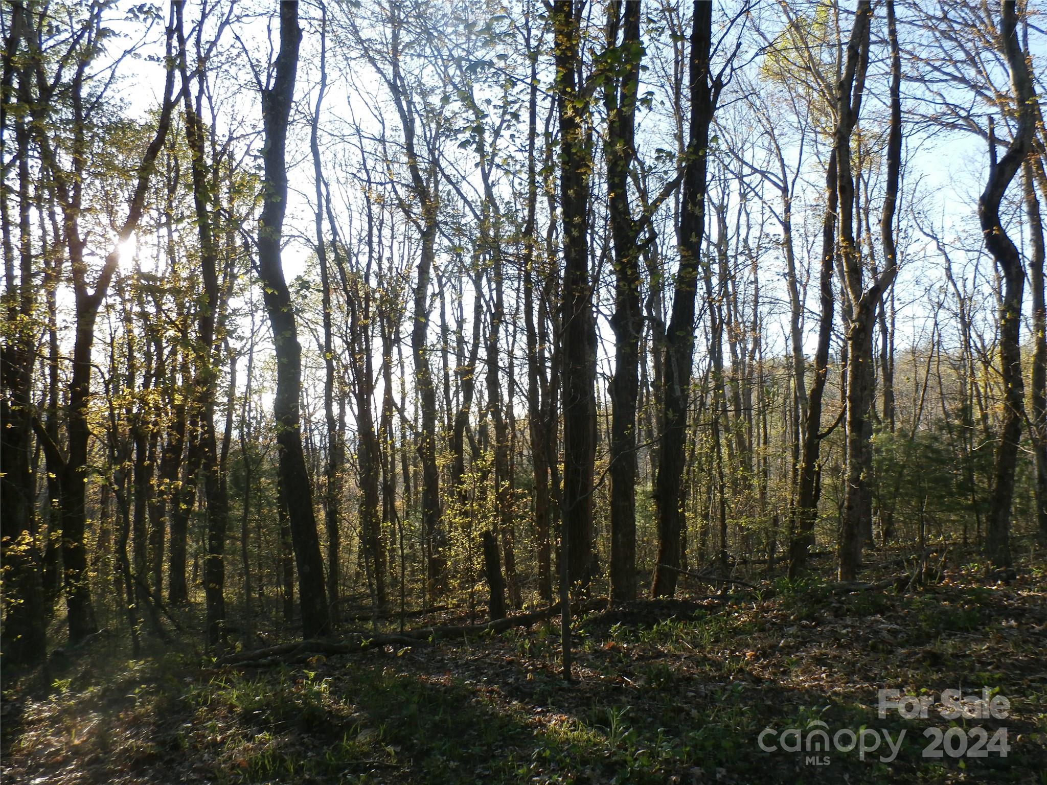 288 Firetower Road — Spruce Pine