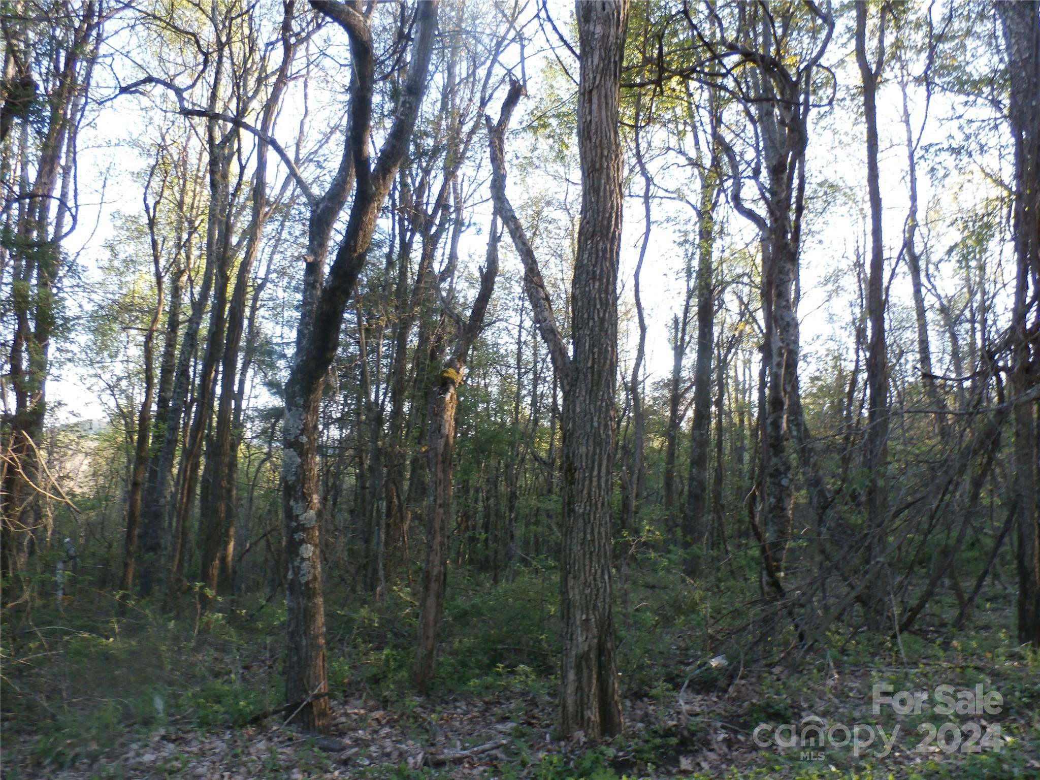 288 Firetower Road — Spruce Pine