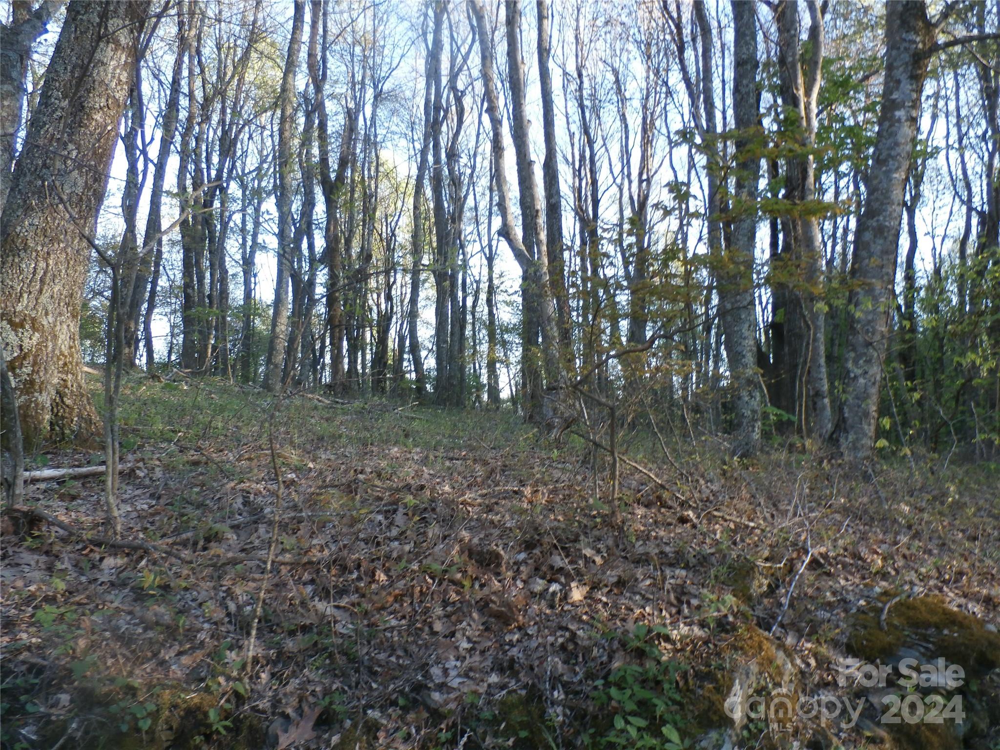 288 Firetower Road — Spruce Pine