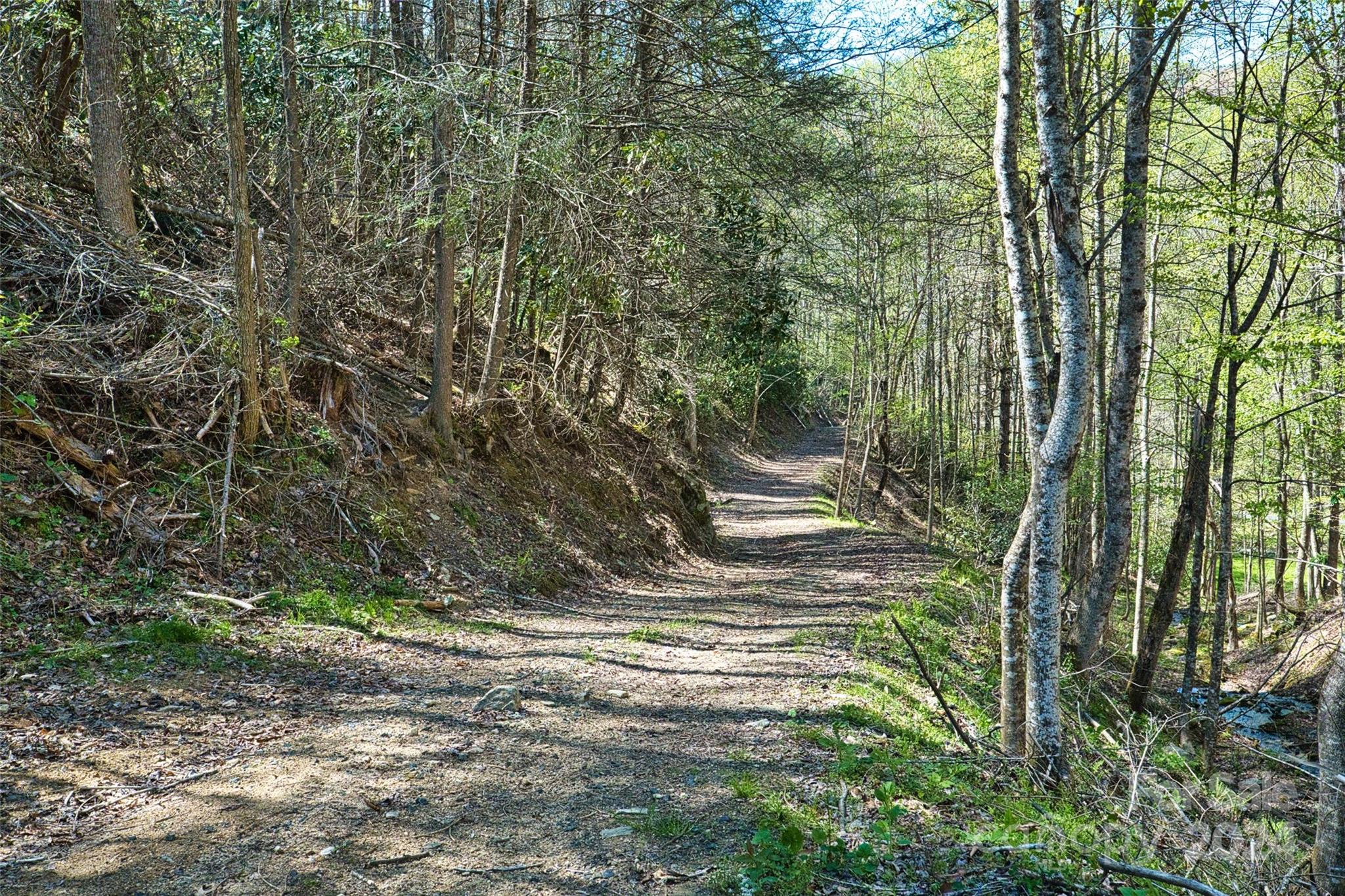 2180 Pigeon Roost Road — Green Mountain