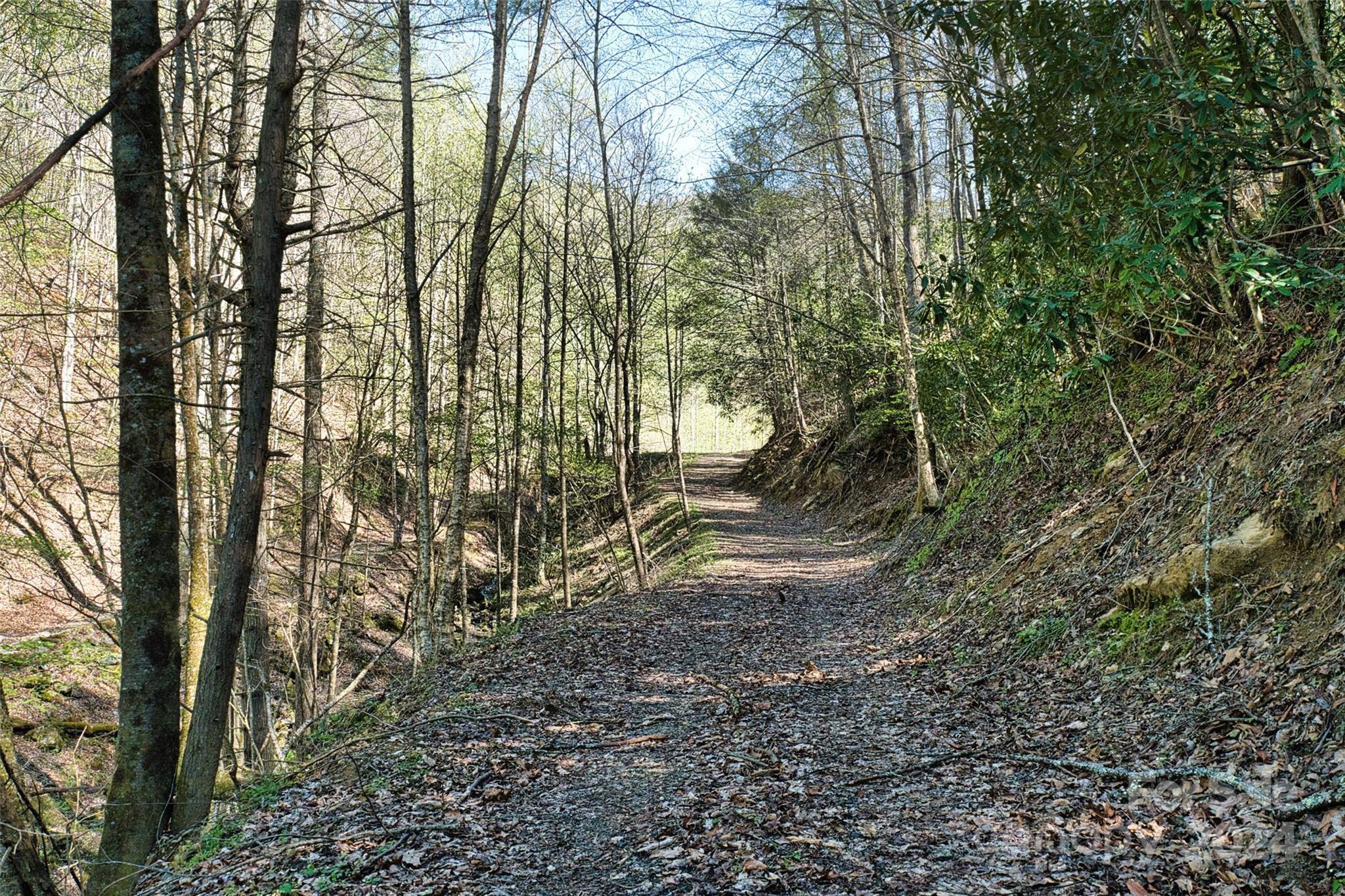 2180 Pigeon Roost Road — Green Mountain