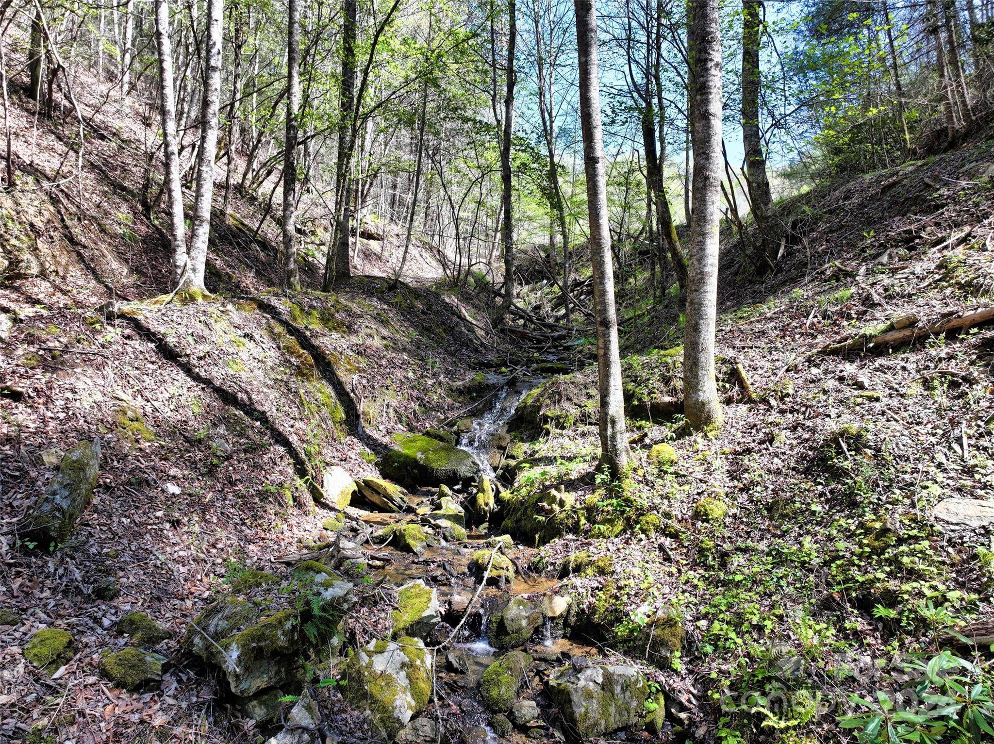 2180 Pigeon Roost Road — Green Mountain