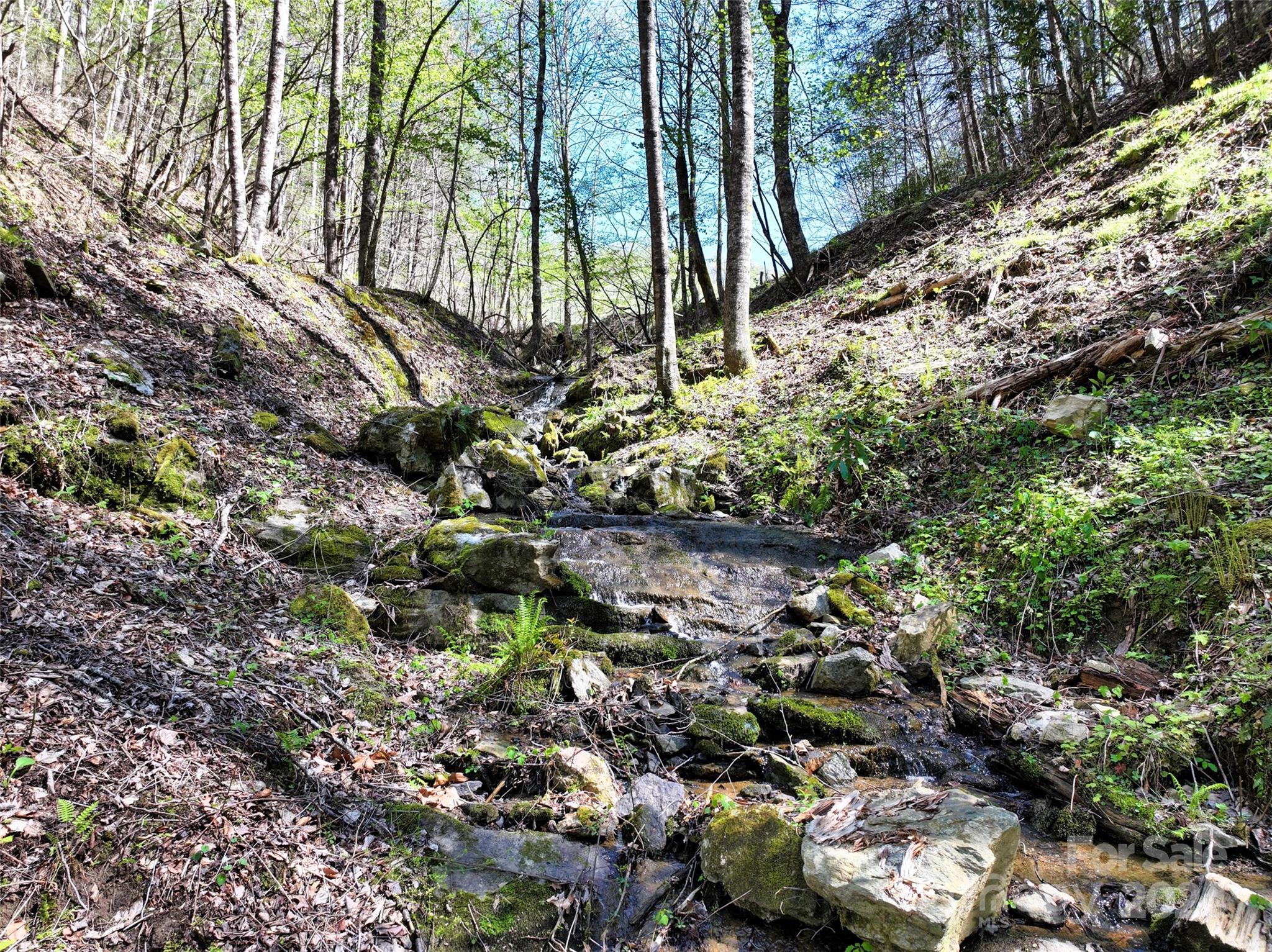 2180 Pigeon Roost Road — Green Mountain