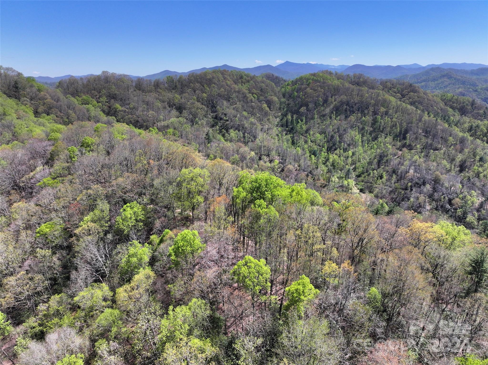 2180 Pigeon Roost Road — Green Mountain