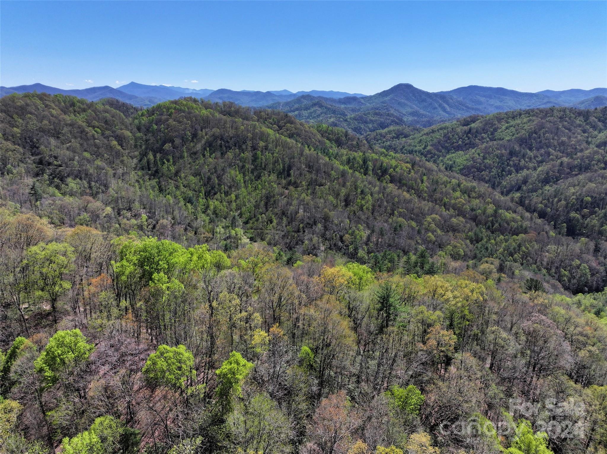 2180 Pigeon Roost Road — Green Mountain