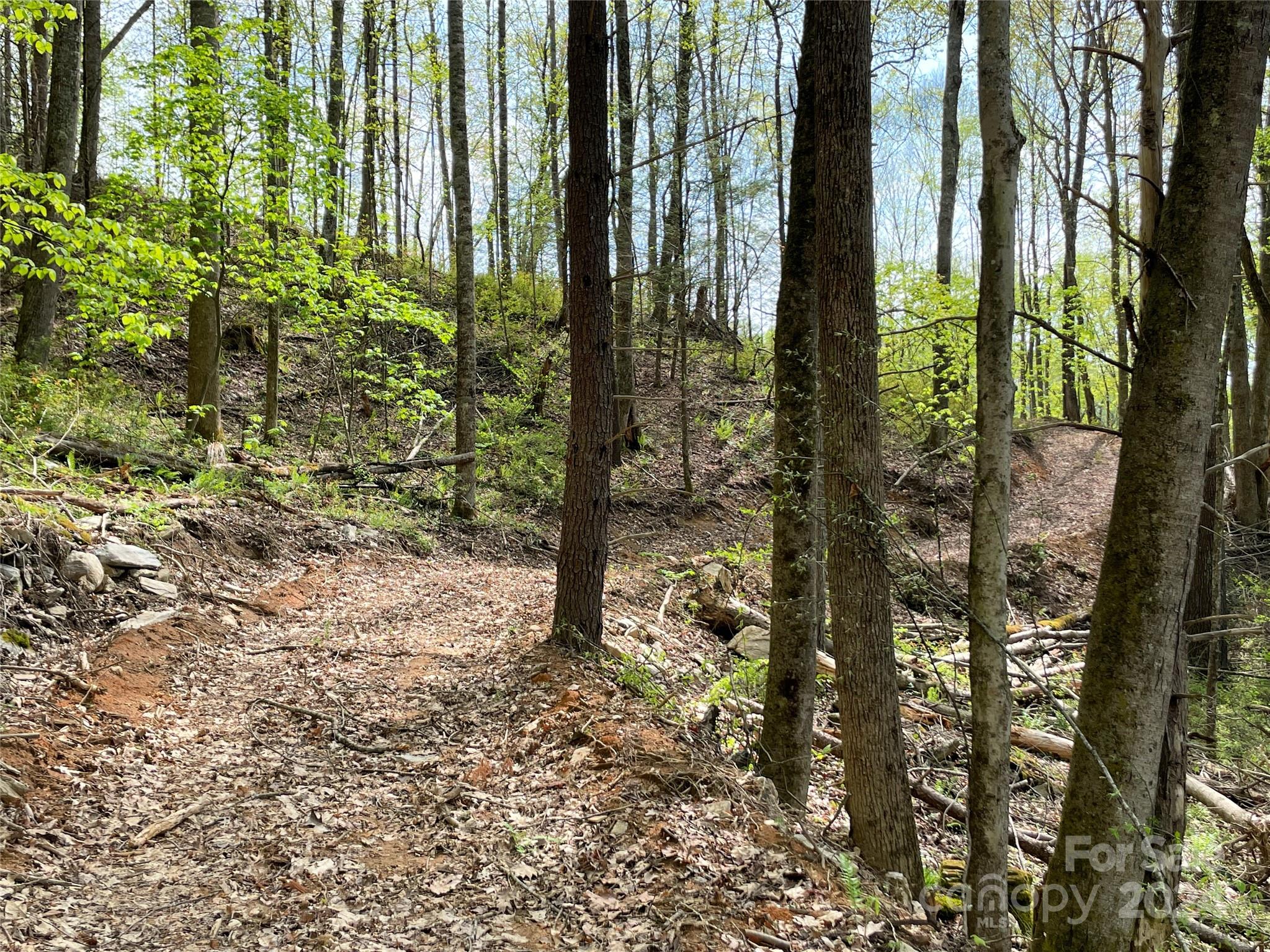 2180 Pigeon Roost Road — Green Mountain