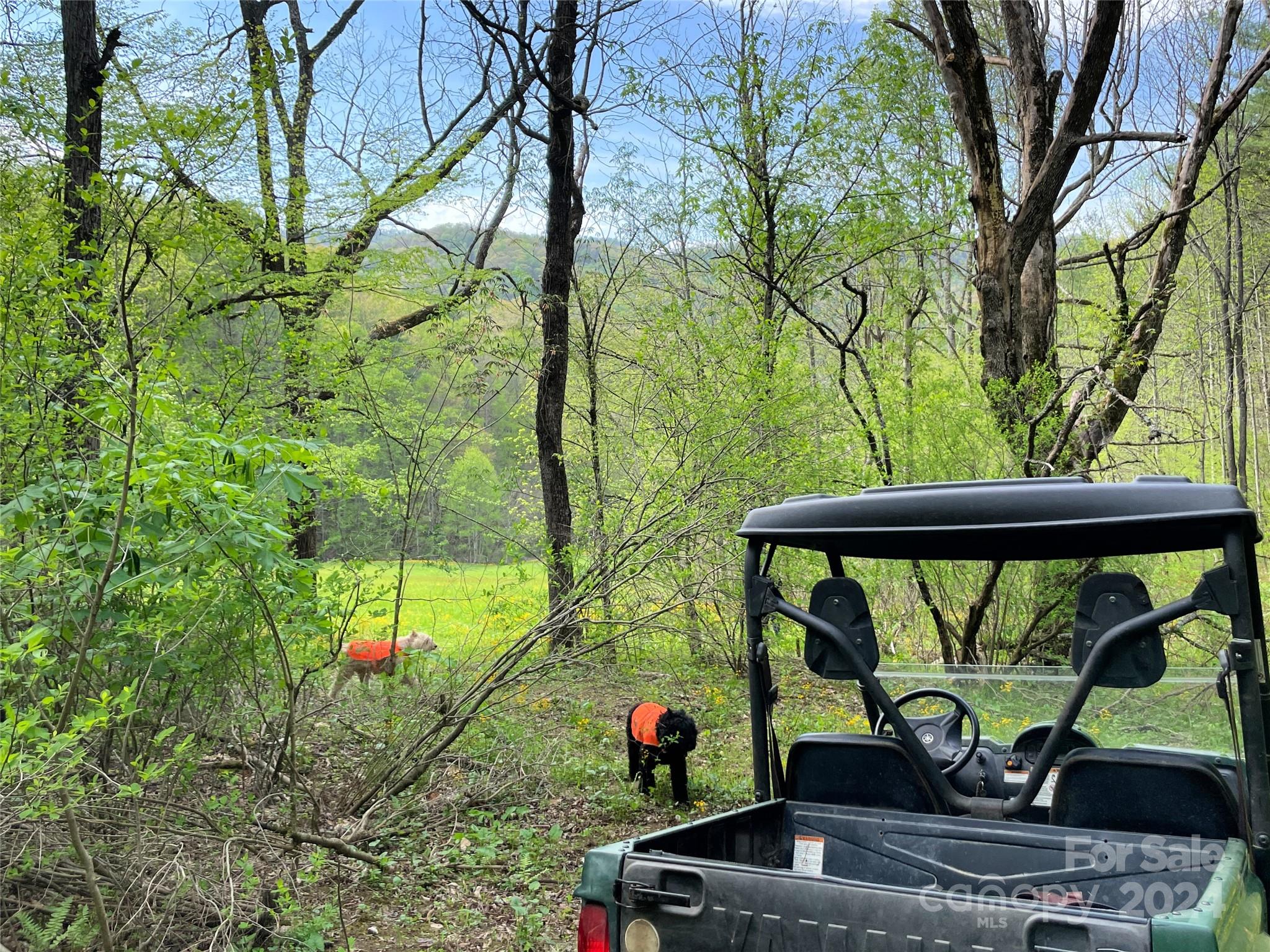 2180 Pigeon Roost Road — Green Mountain