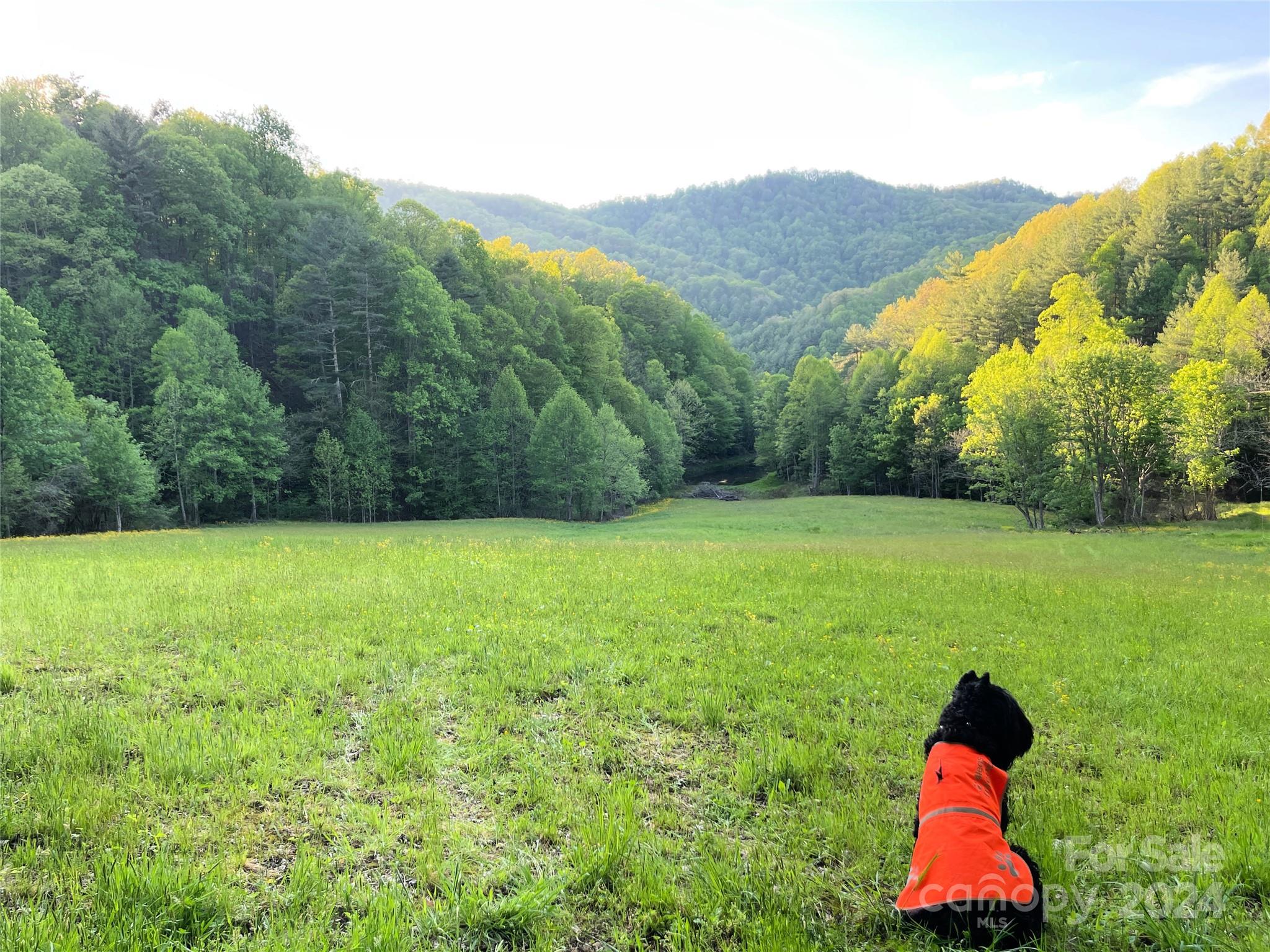 2180 Pigeon Roost Road — Green Mountain