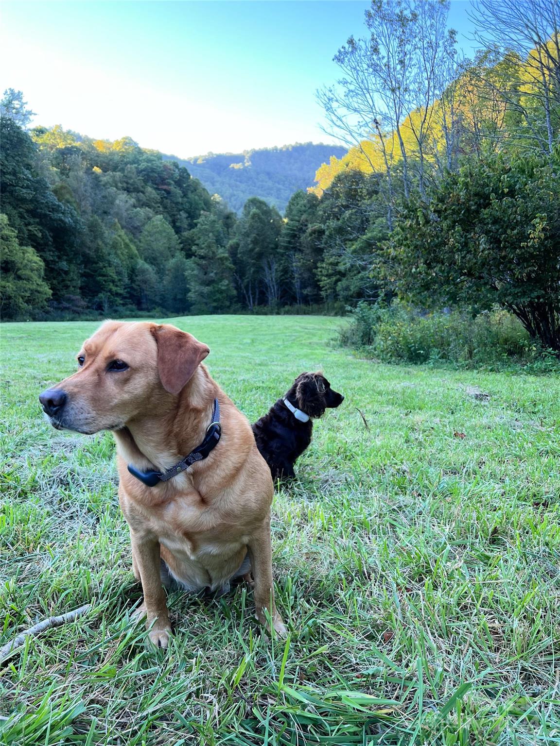 2180 Pigeon Roost Road — Green Mountain