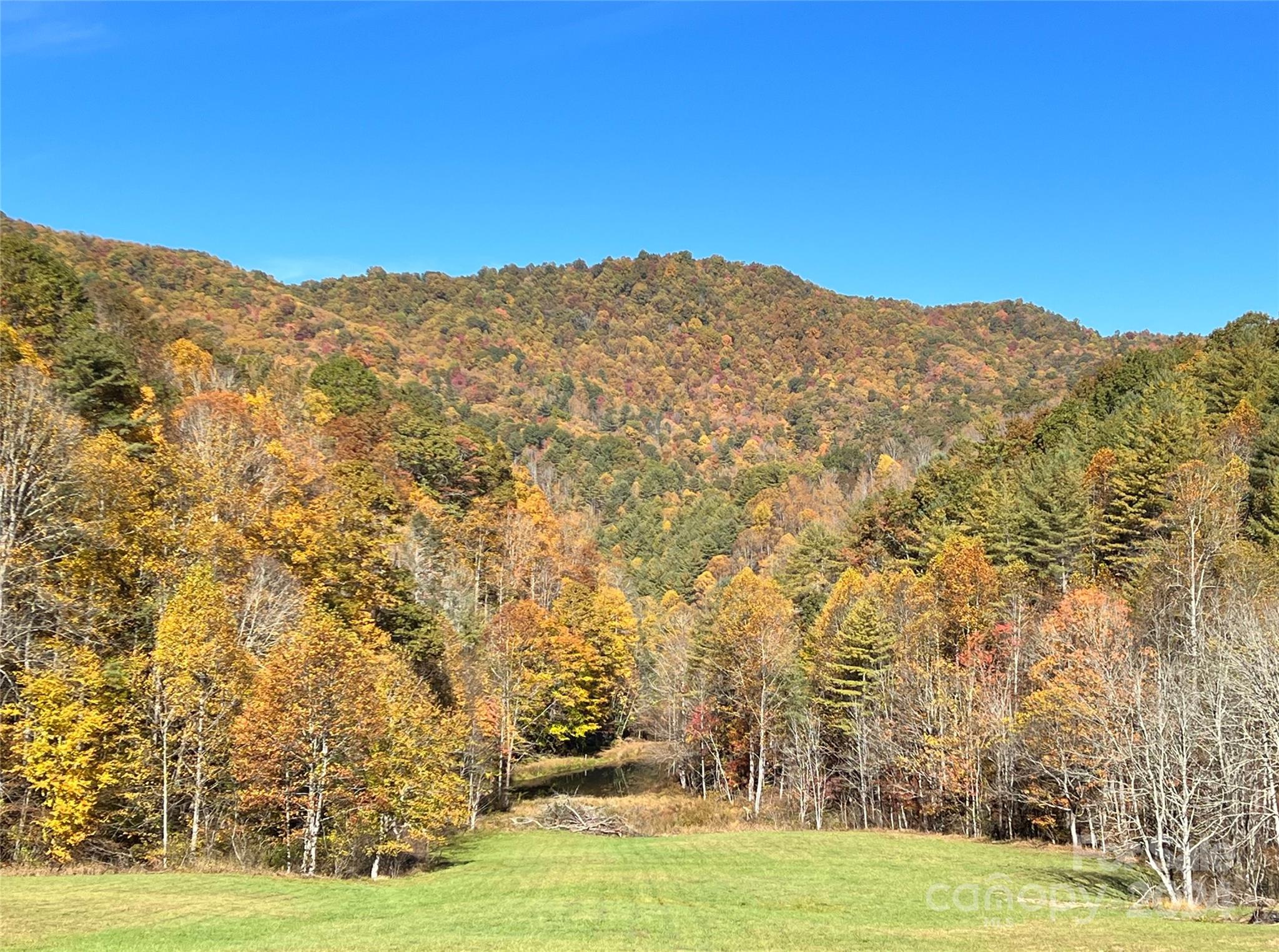 2180 Pigeon Roost Road — Green Mountain