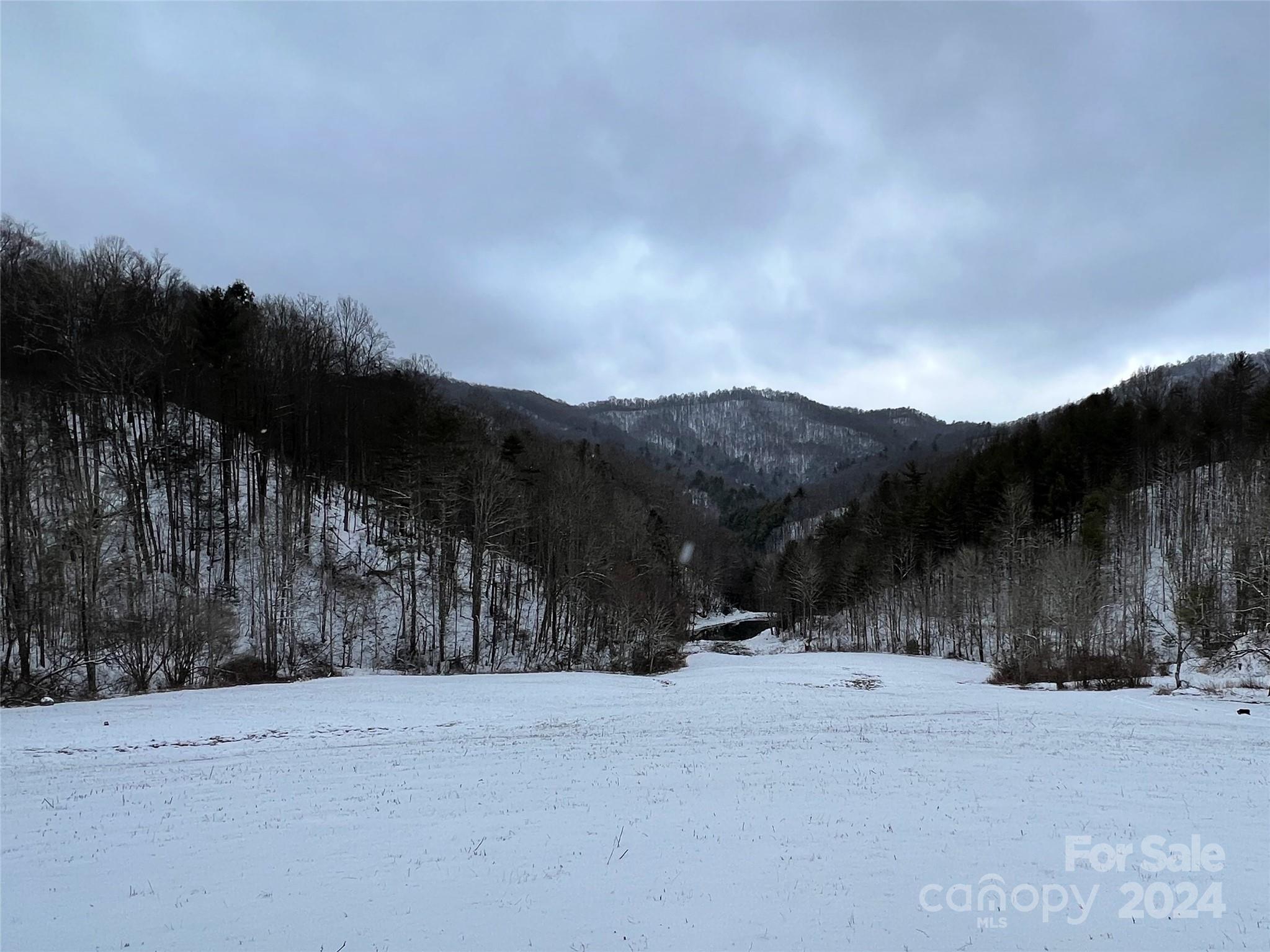 2180 Pigeon Roost Road — Green Mountain