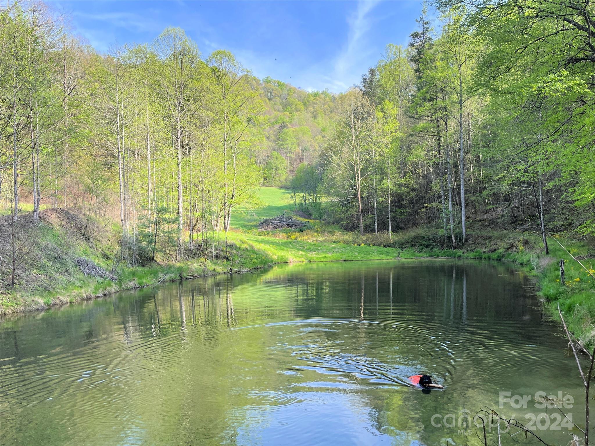 2180 Pigeon Roost Road — Green Mountain