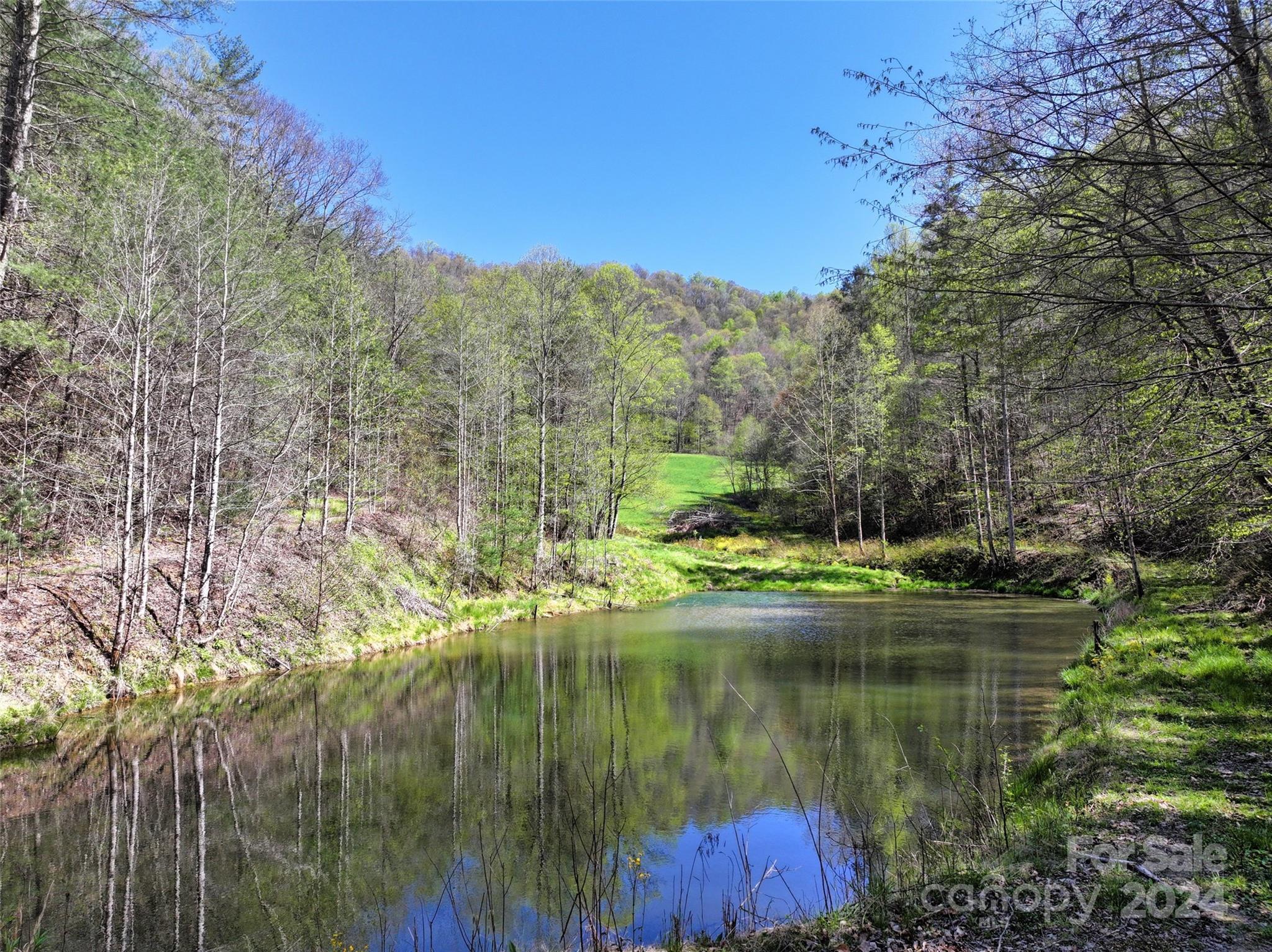 2180 Pigeon Roost Road — Green Mountain