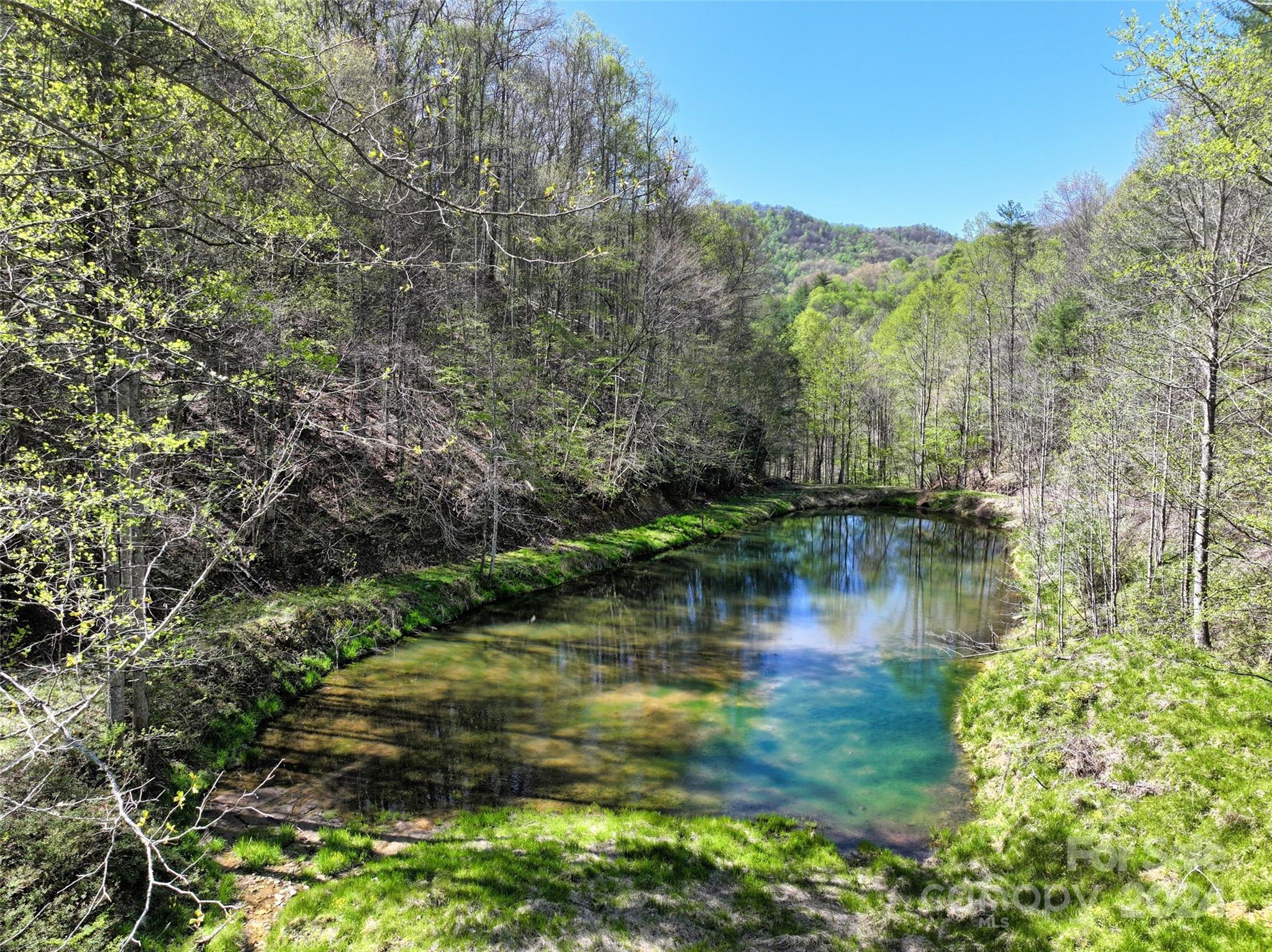 2180 Pigeon Roost Road — Green Mountain