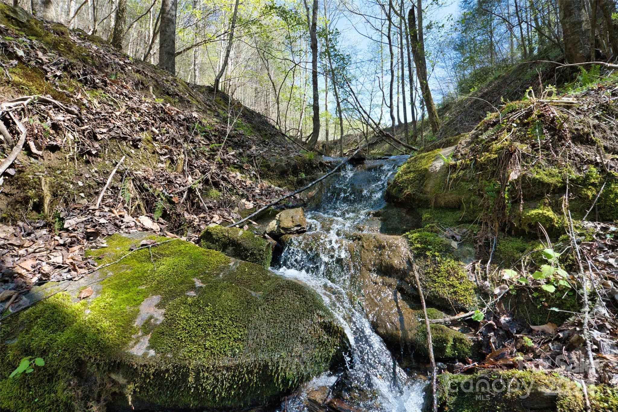2180 Pigeon Roost Road — Green Mountain
