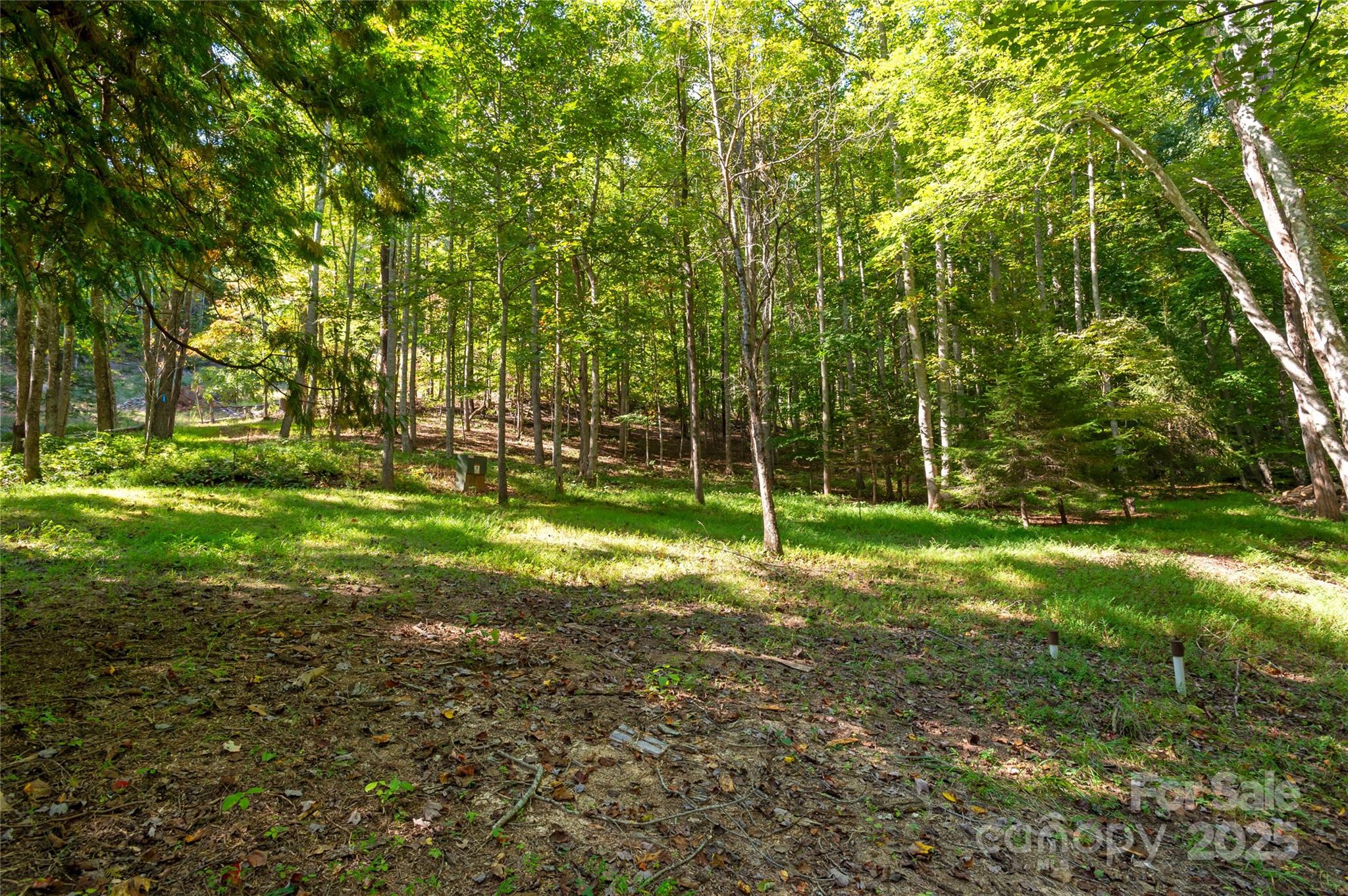 116 Sams Branch Road — Candler